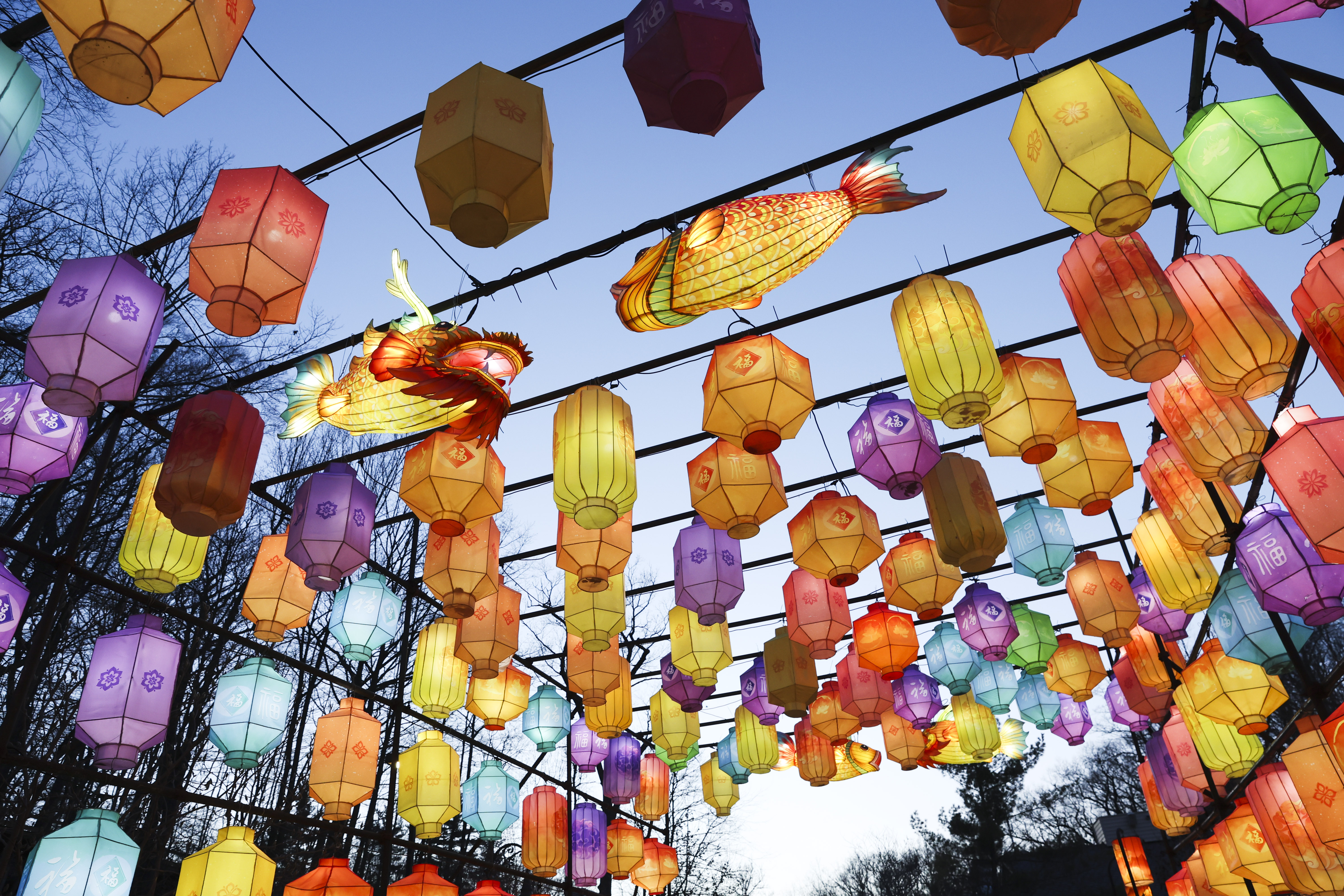 Lantern festival illuminates the zoo in Grand Rapids - mlive.com