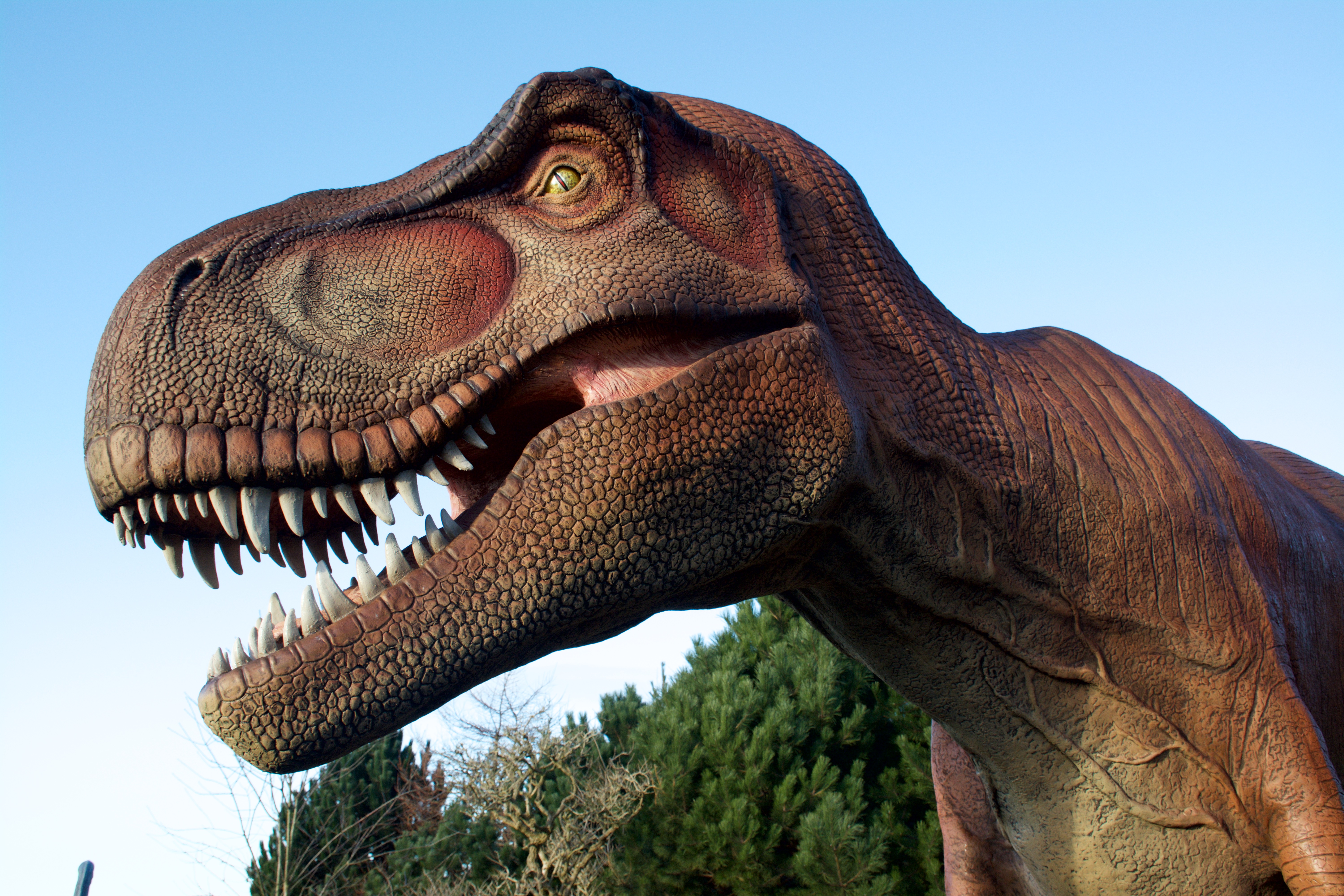 Insights and Sounds: Animal Kingdom's Extinct Dino