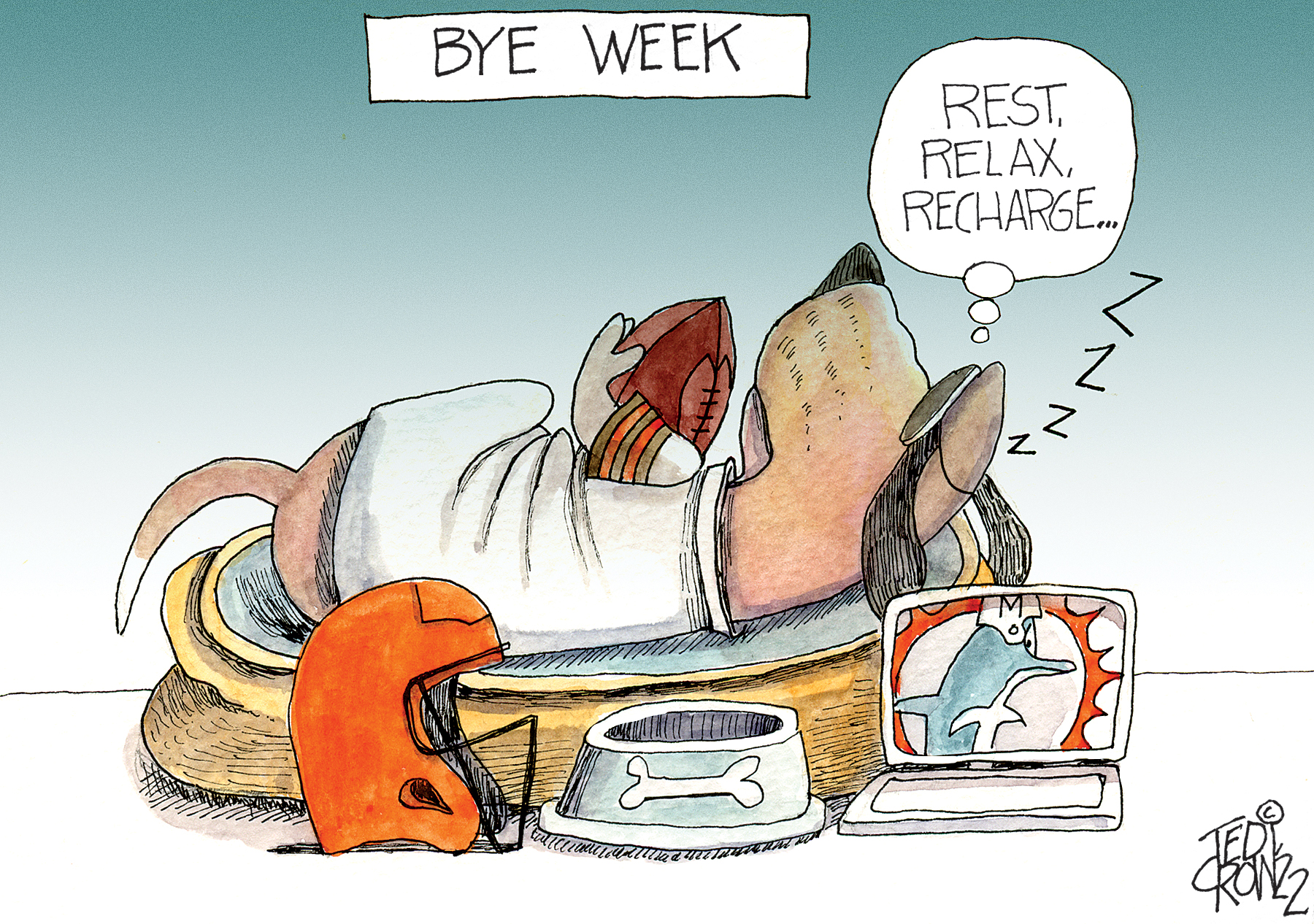 Miami Dolphins bye week Season Update