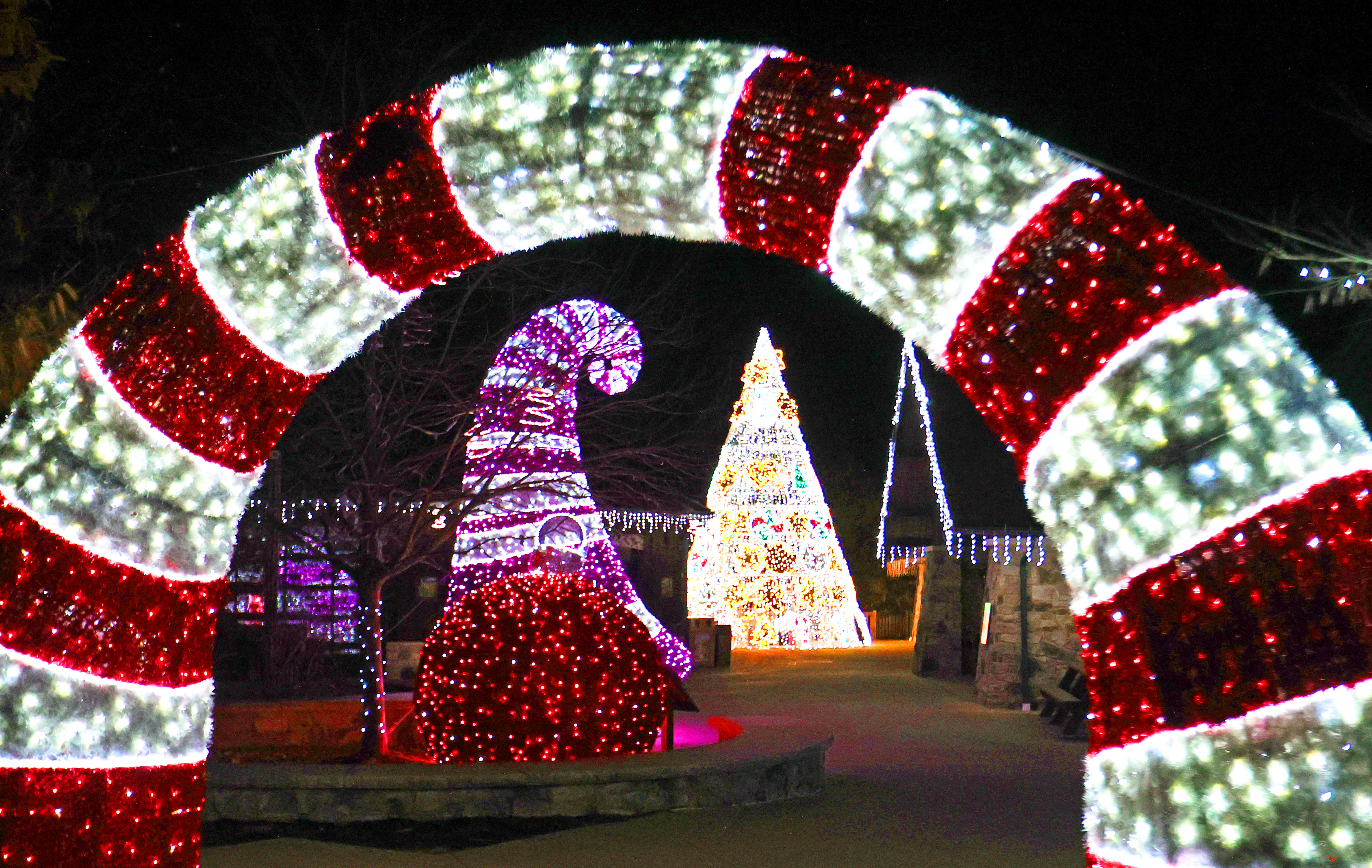 Cleveland Zoo is lit bright in an array of stunning colors during