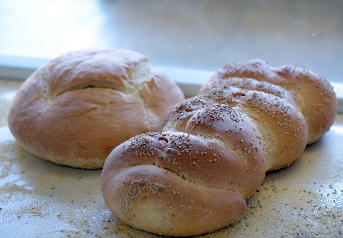 The Italian Bread Shop in Springfield - masslive.com