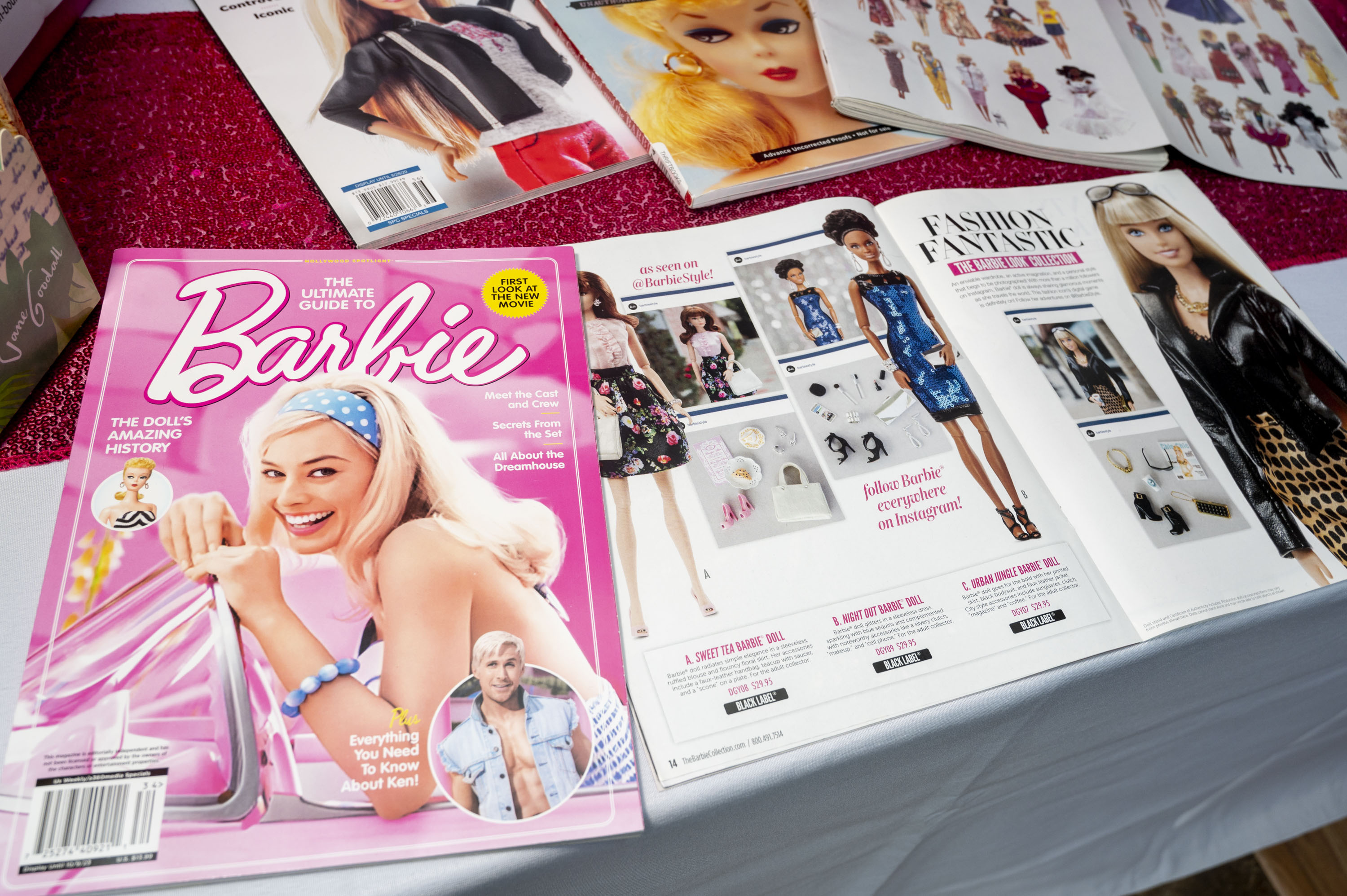 Ferris barbie best sale