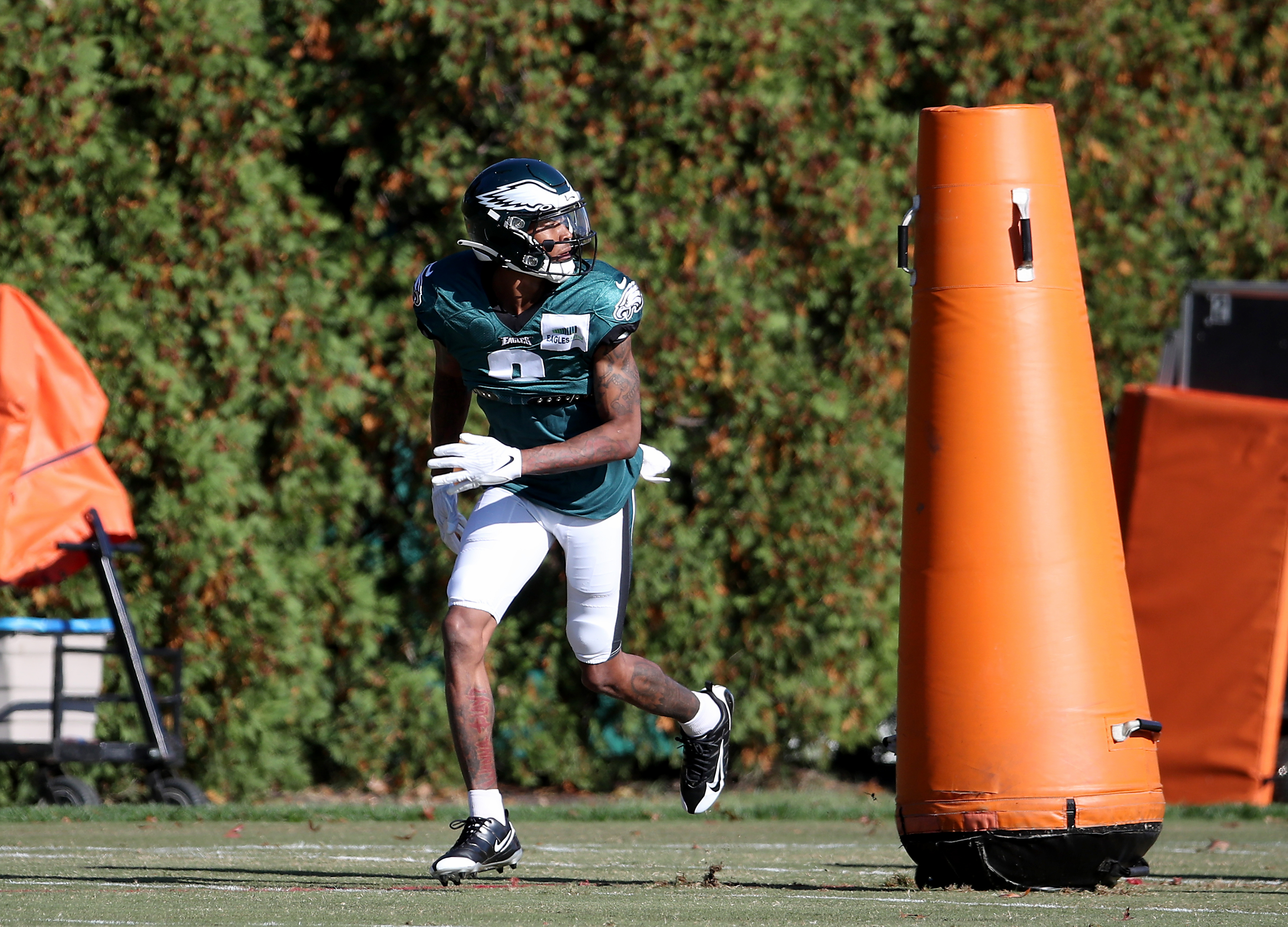 Surrounded by experience, Eagles' Milton Williams soaking it all