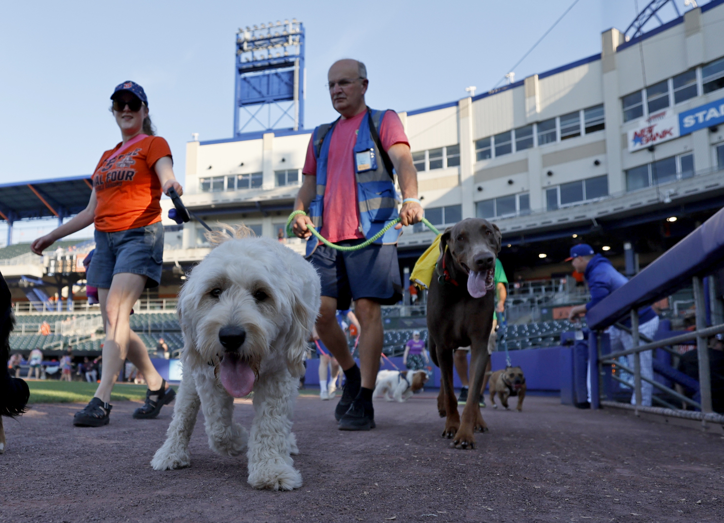 Syracuse Mets Bark in the park night vs. Rochester Red Wings 