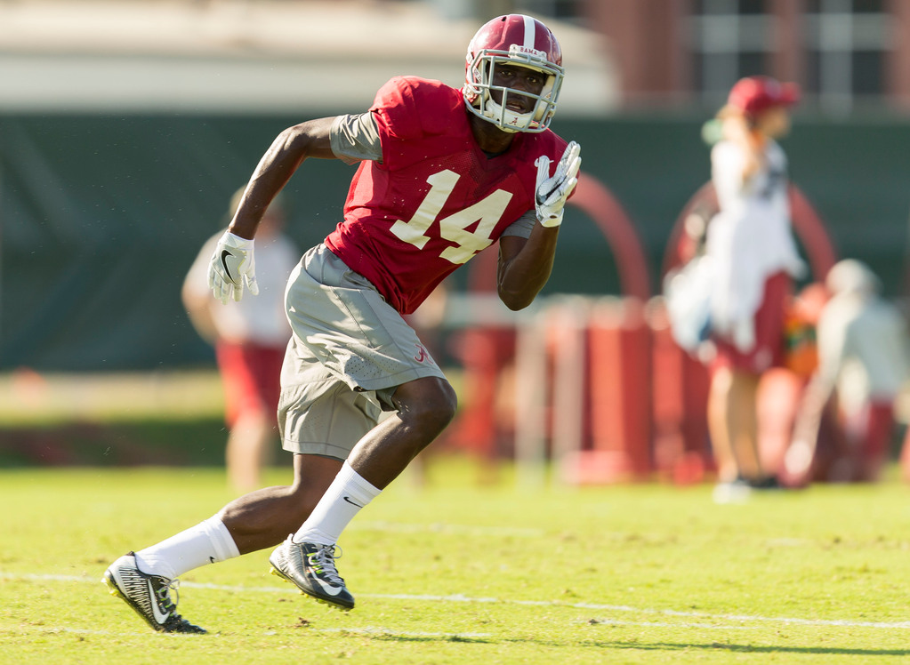 Former Alabama DB Roman Harper signs multi-year contract with ESPN