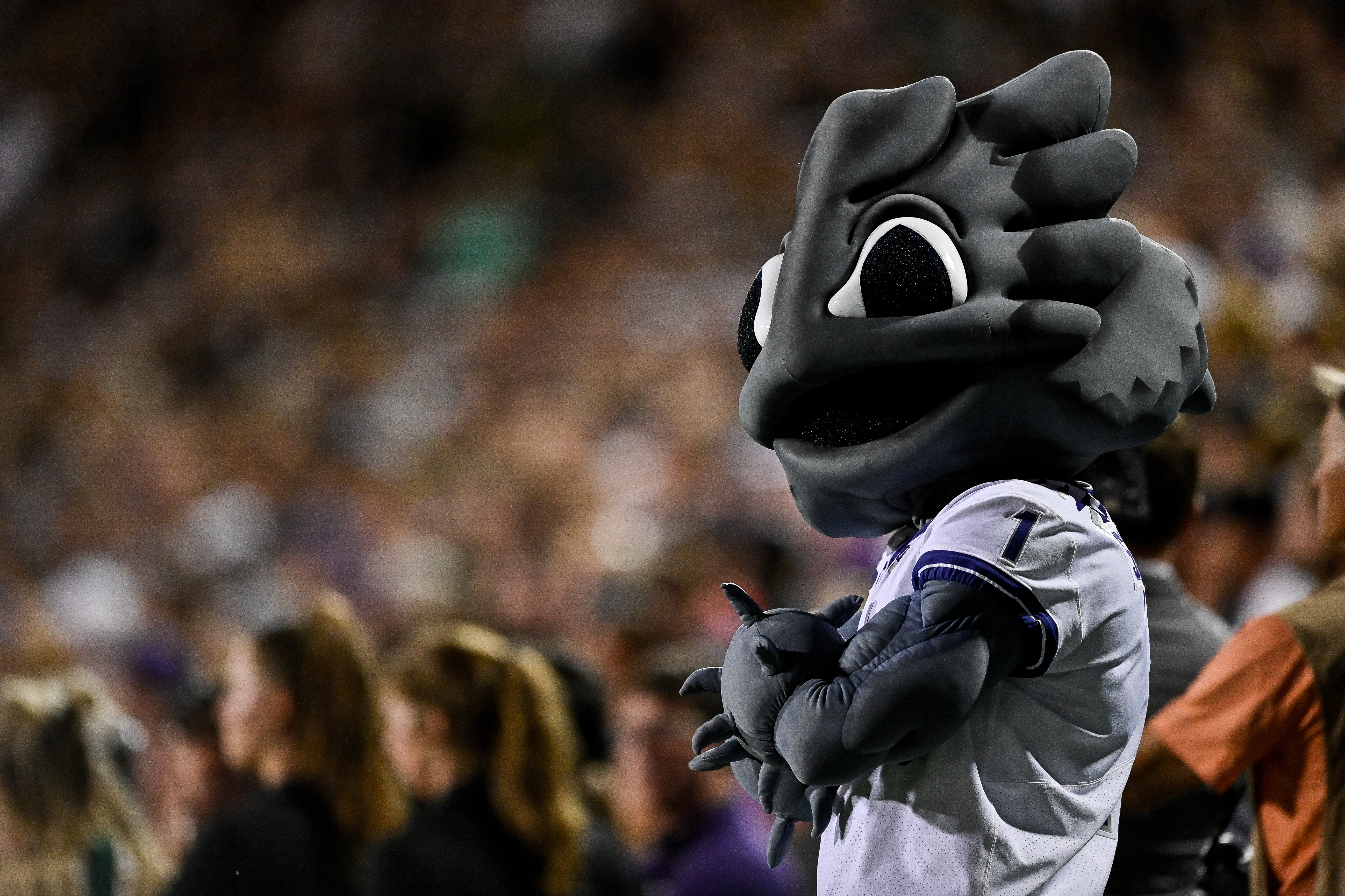 TCU Horned Frogs vs Colorado Buffaloes football free live stream, odds  (9/2/2023) 