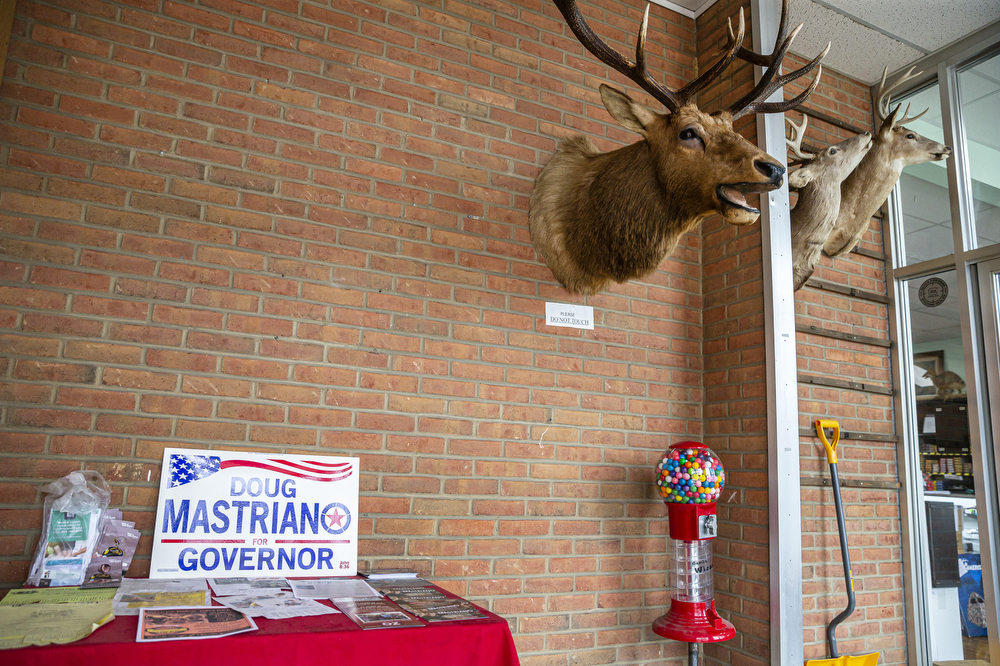 Election 2022 Fulton County