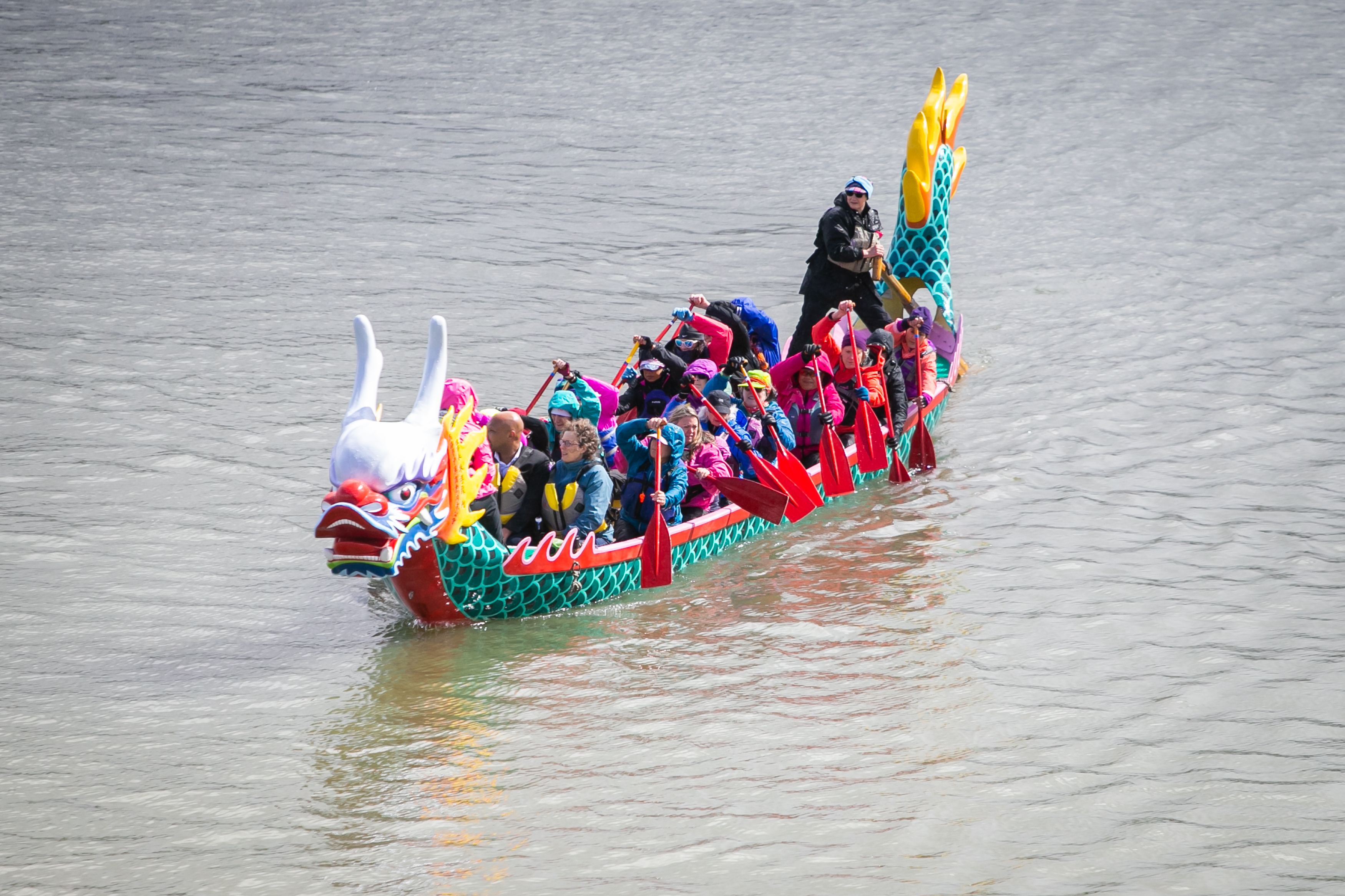 Dragon Boat Race - Portland Rose Festival - My Family Guide