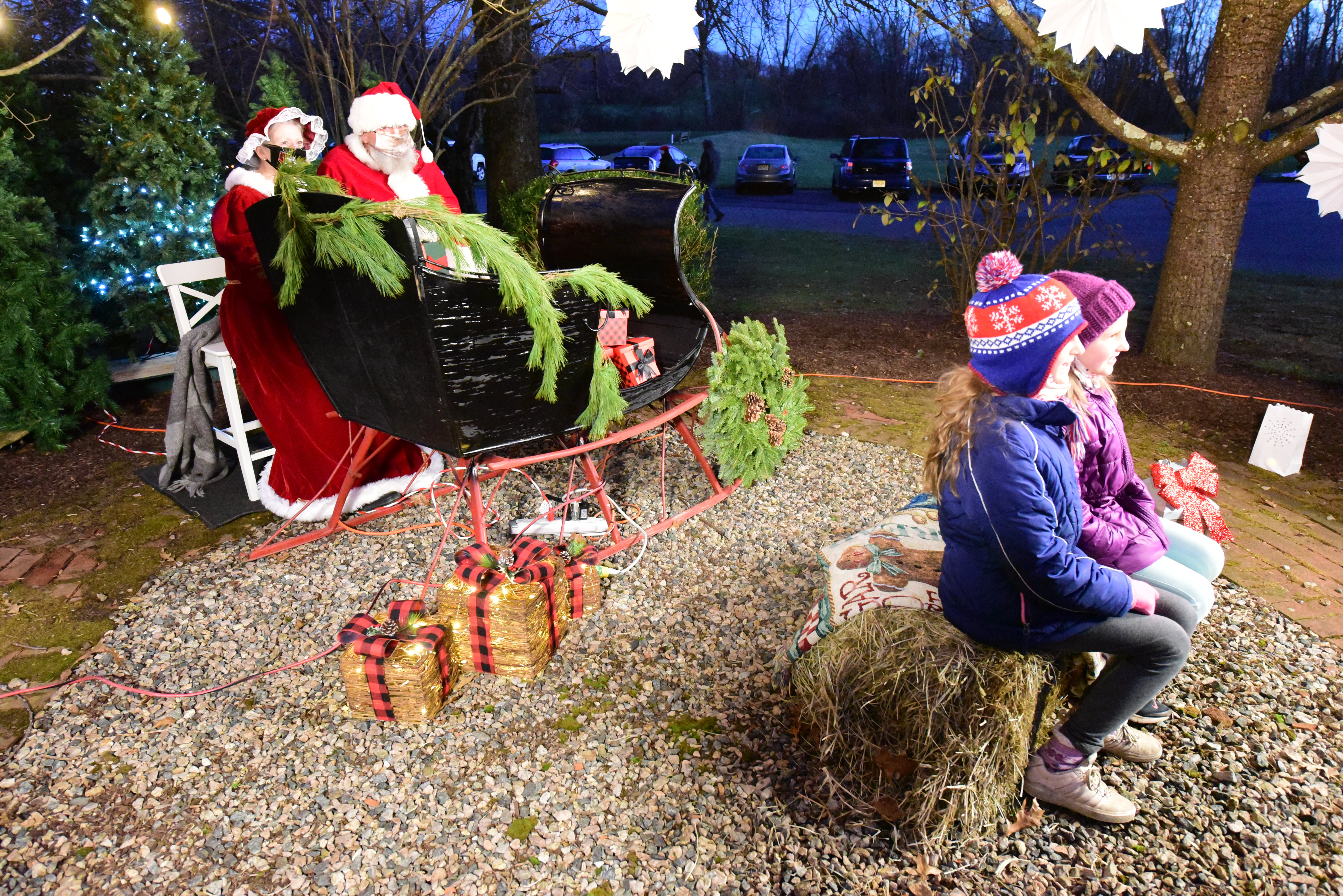 Mr. Christmas Tree Lighting Ceremony