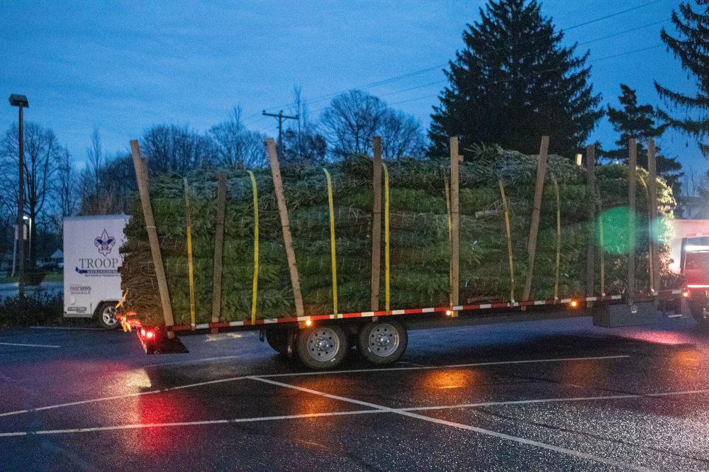 Mechanicsburg Scout troop Christmas Tree sale hits 40 years