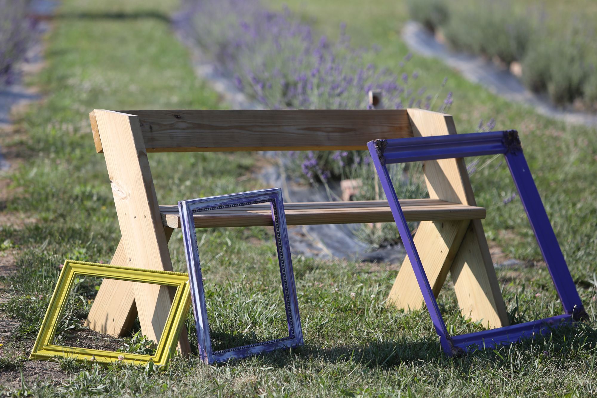 Lavender Trails Farm in Orrville