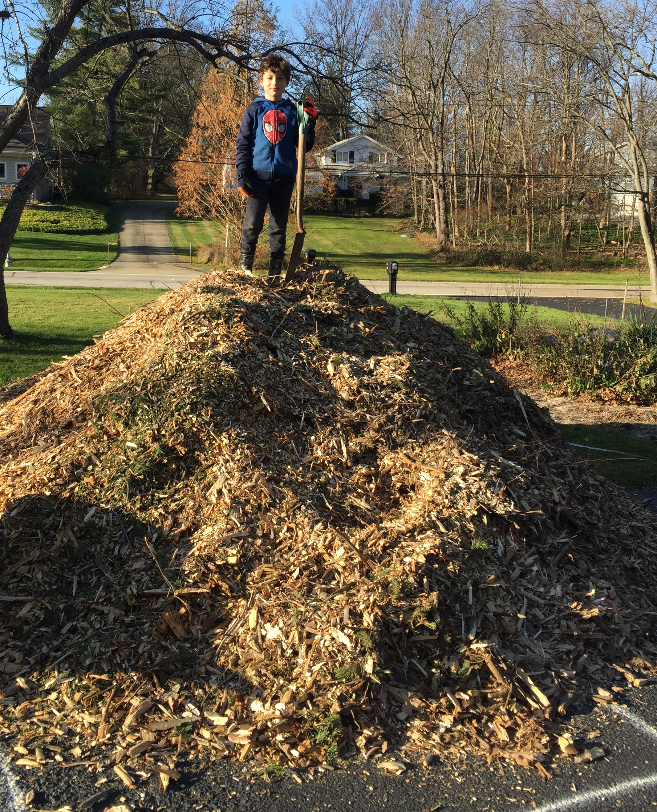 What is mulch and how should it be used in a Northeast Ohio garden