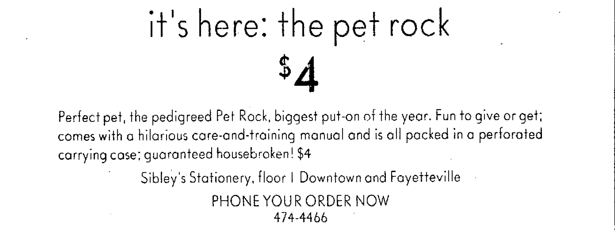 Pet best sale rock year