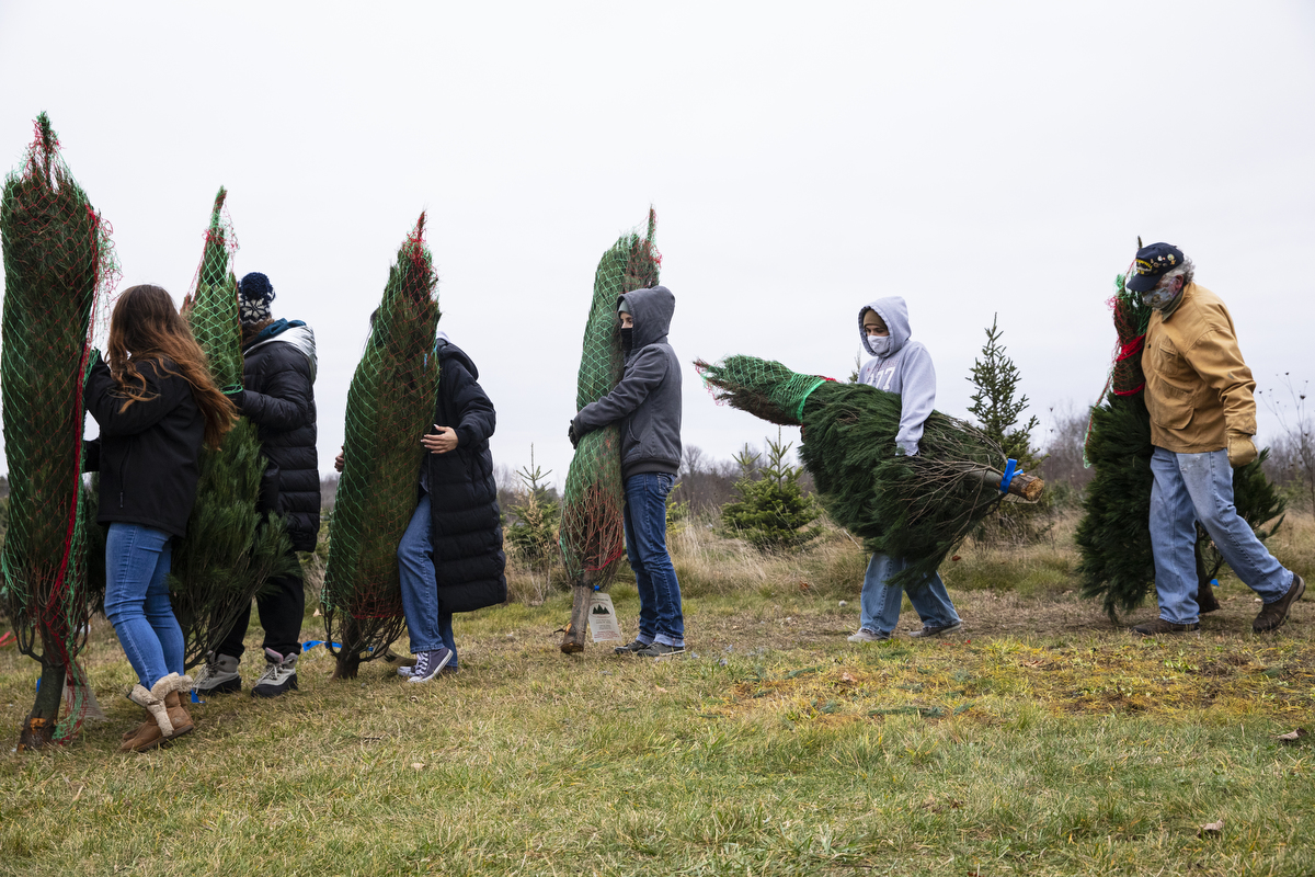Volunteers gather to load Christmas trees for 'Trees for Troops