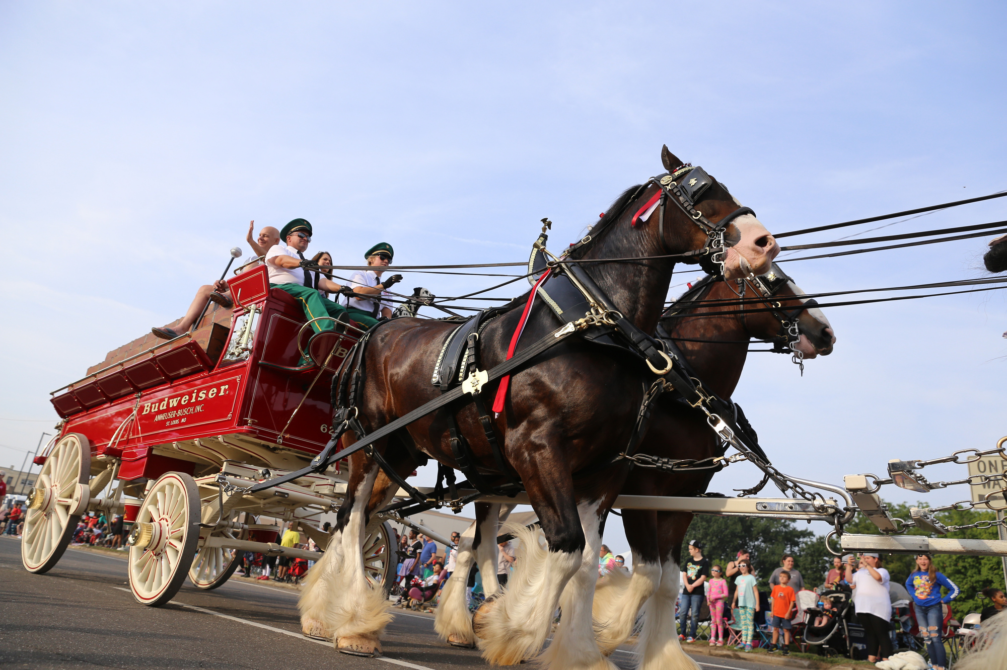 How the Budweiser Clydesdales prepare for their big day at Busch