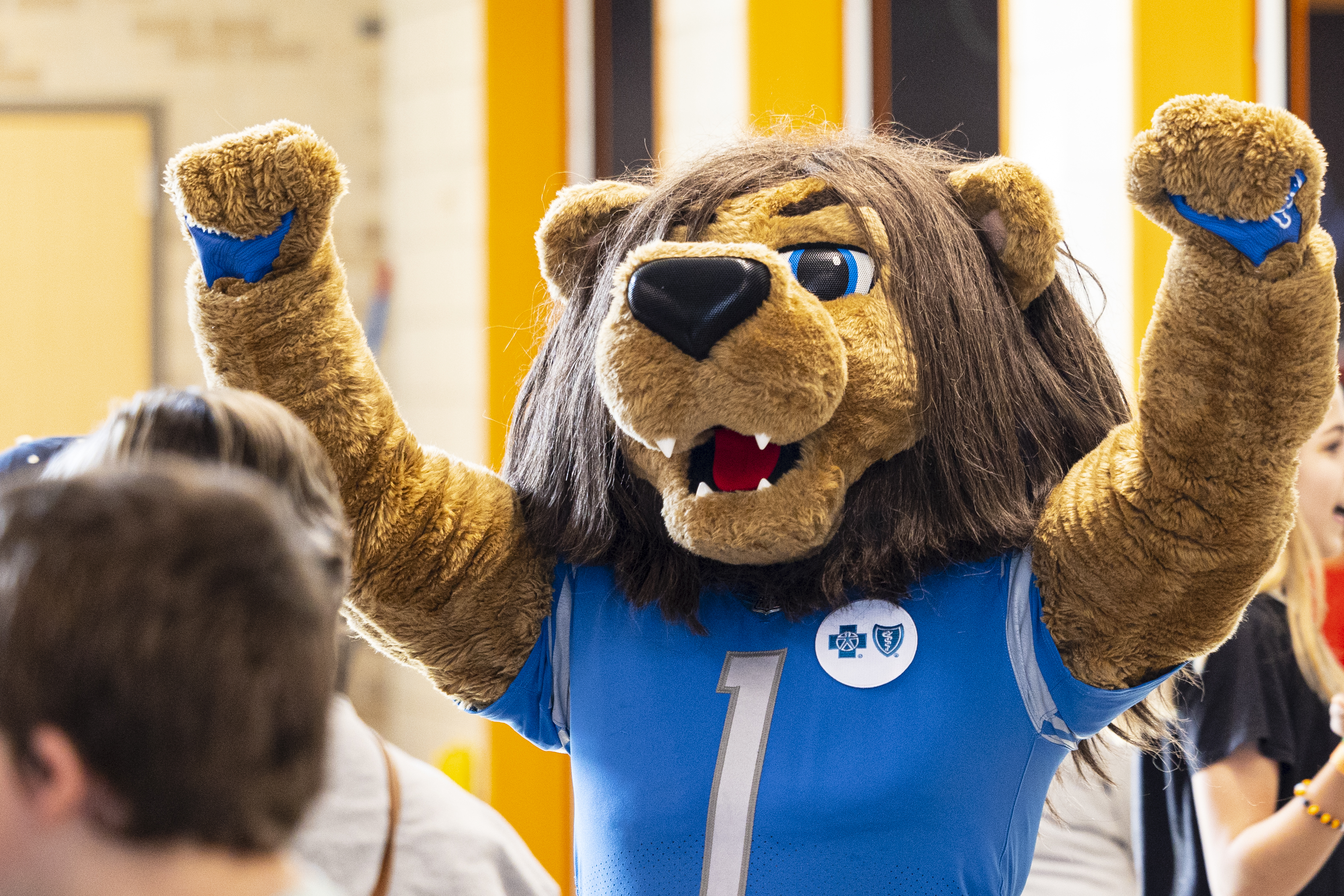 Detroit Lion Mascot Roary Mascot Costume