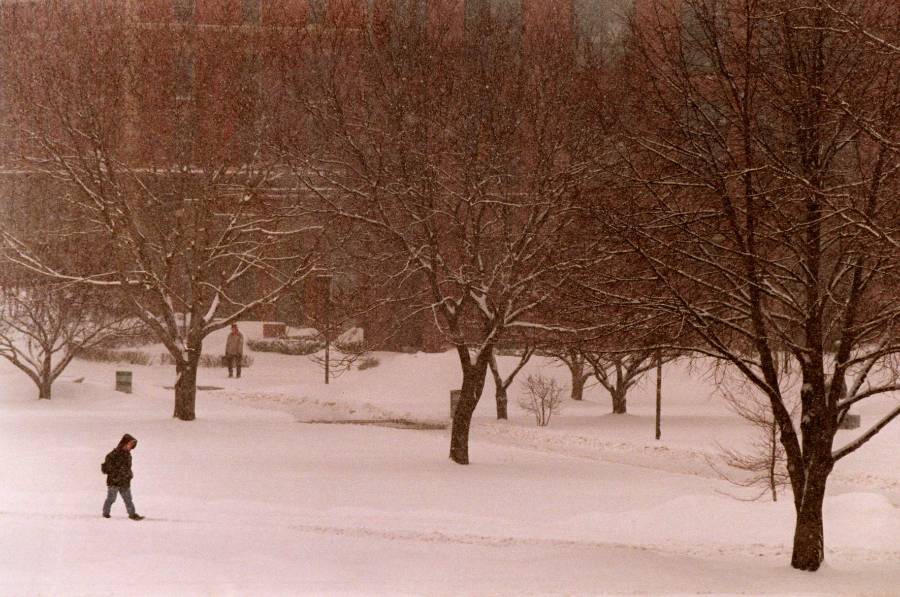 Remembering The Relentless Winter Of 1994 In Syracuse - Syracuse.com