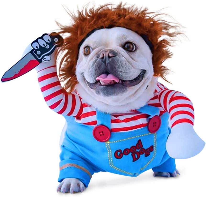 The Internet's Most Asked Questions  Dog halloween costumes, Cool halloween  costumes, Dog halloween