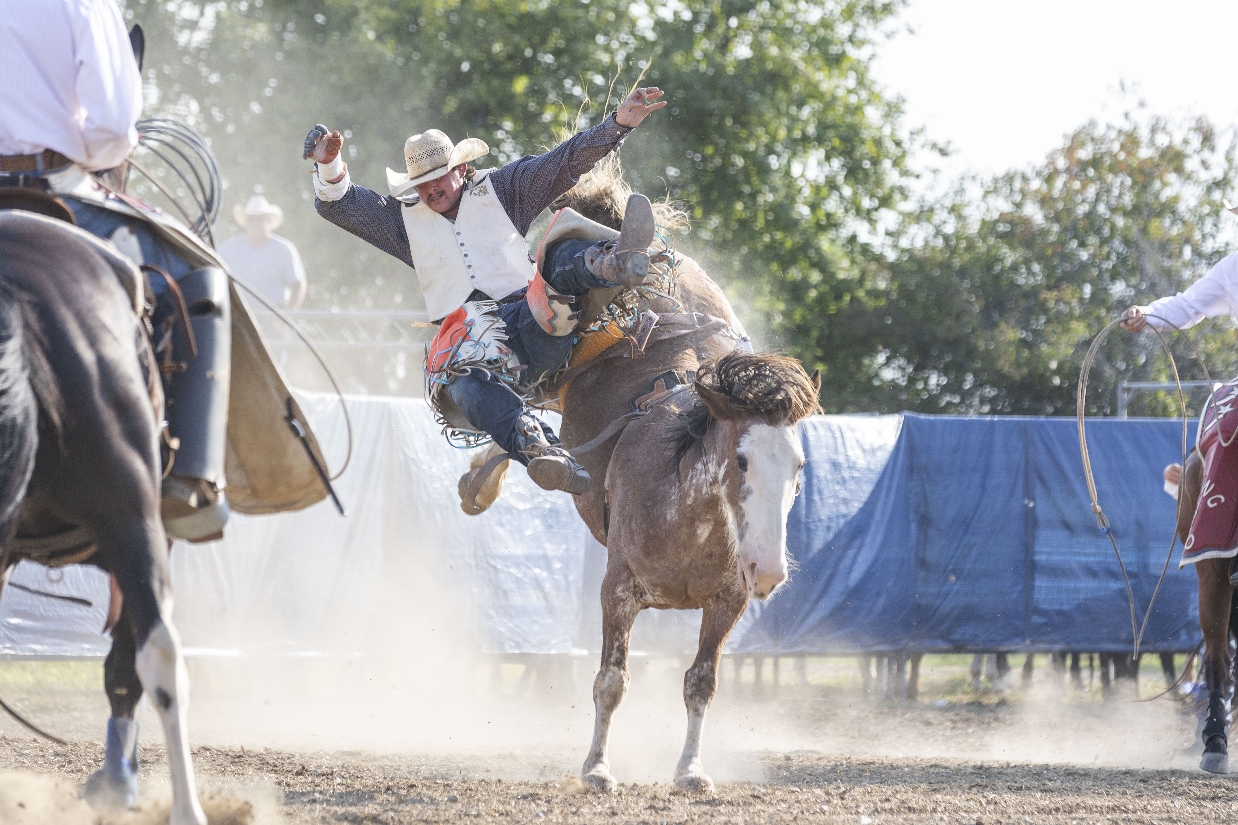 Bucking wild rodeo comes to Gaines - mlive.com