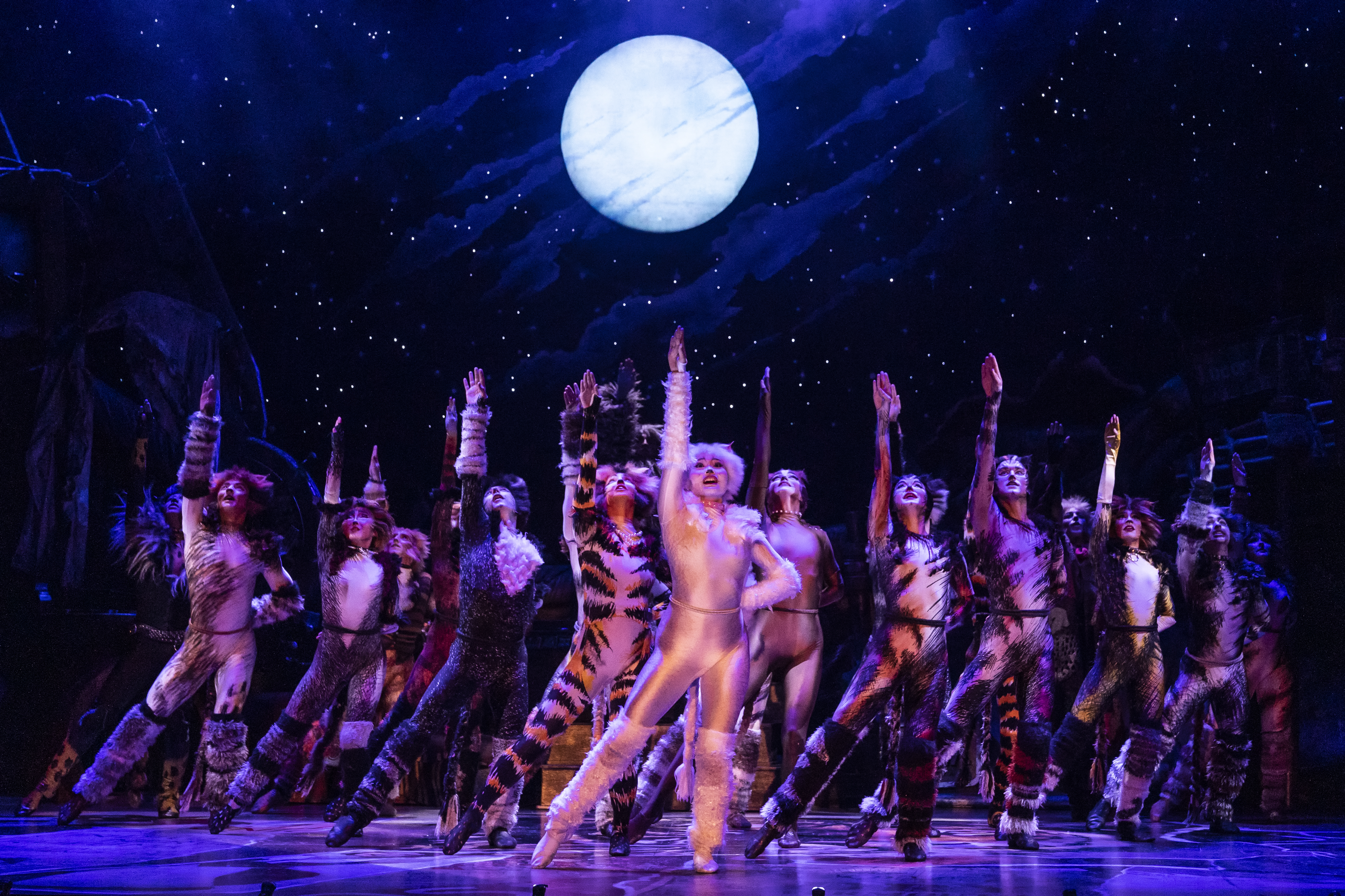 CATS - The Musical, Ronacher, Schedule & Tickets