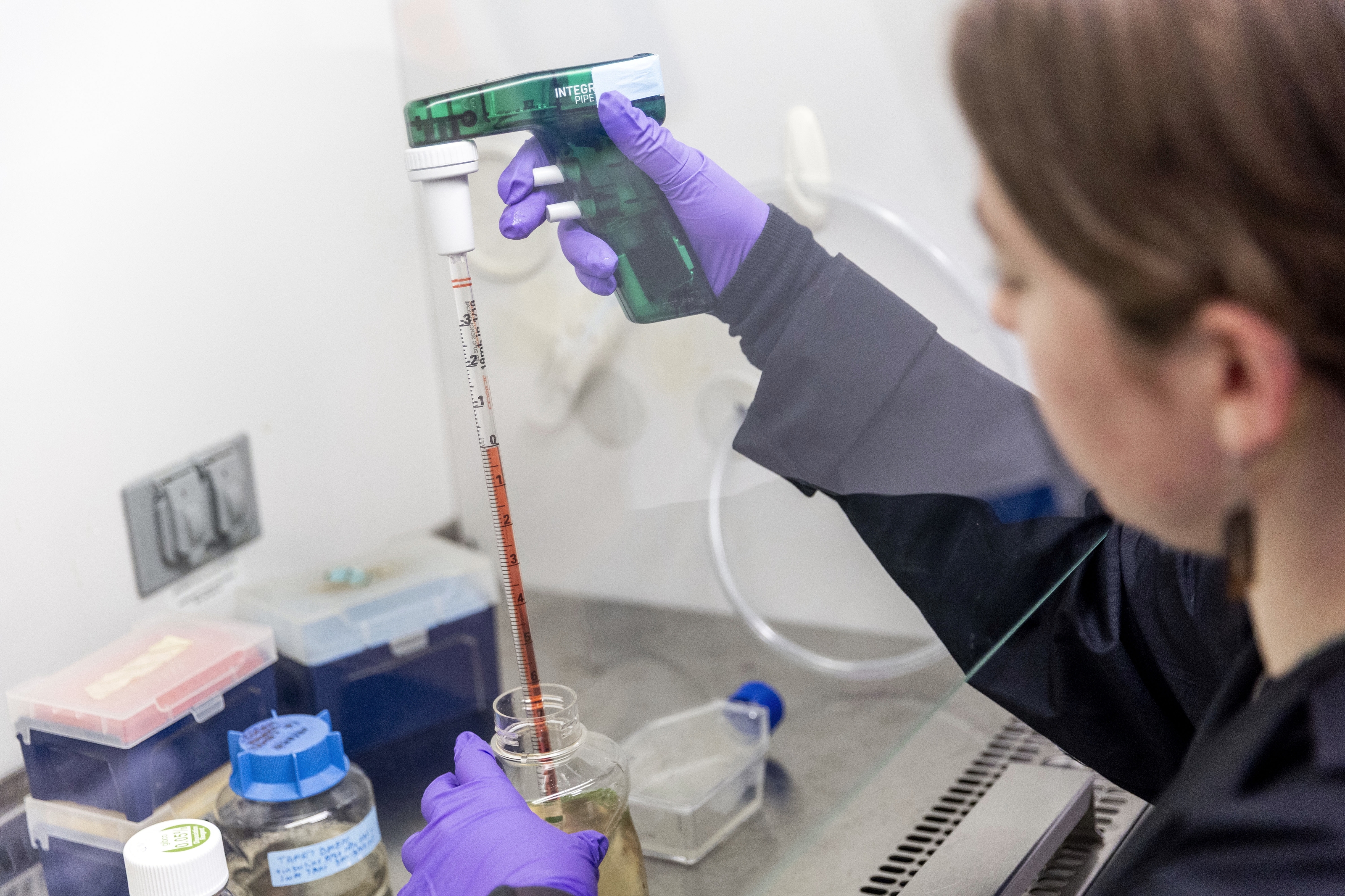 Federal funding cuts a threat to slowing MSU cancer treatment research ...