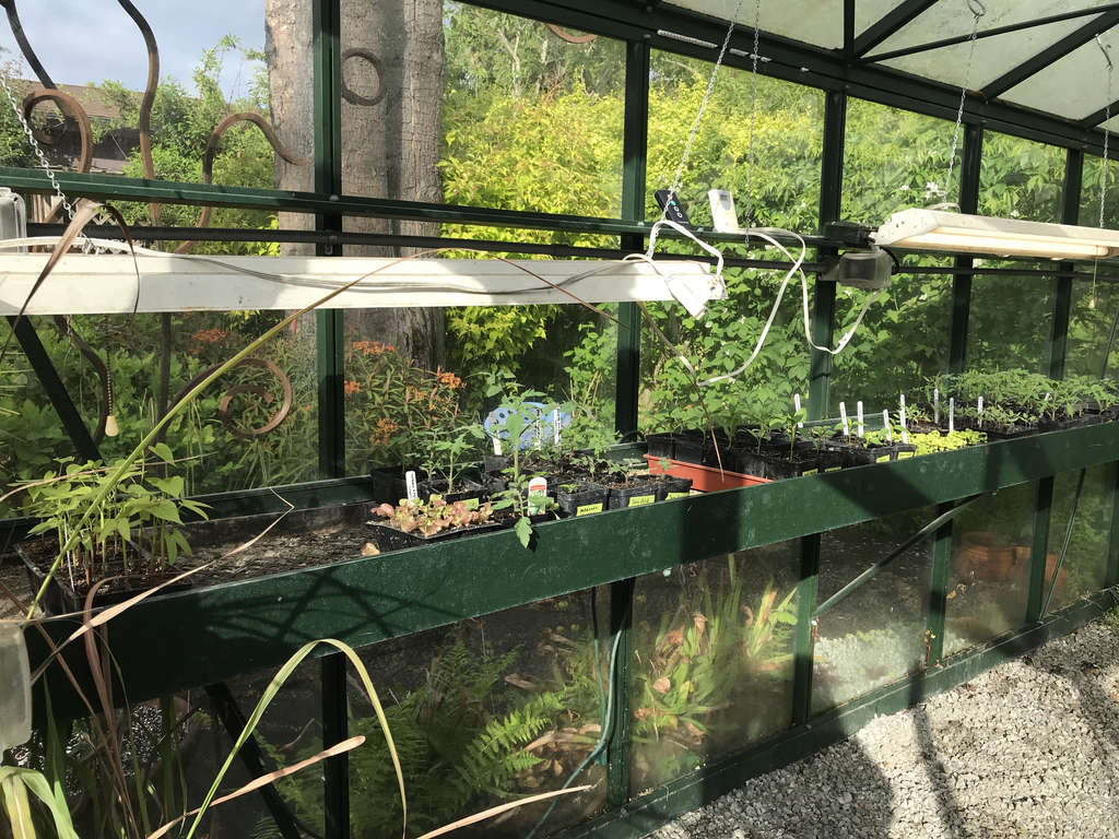 Greenhouses in Oregon