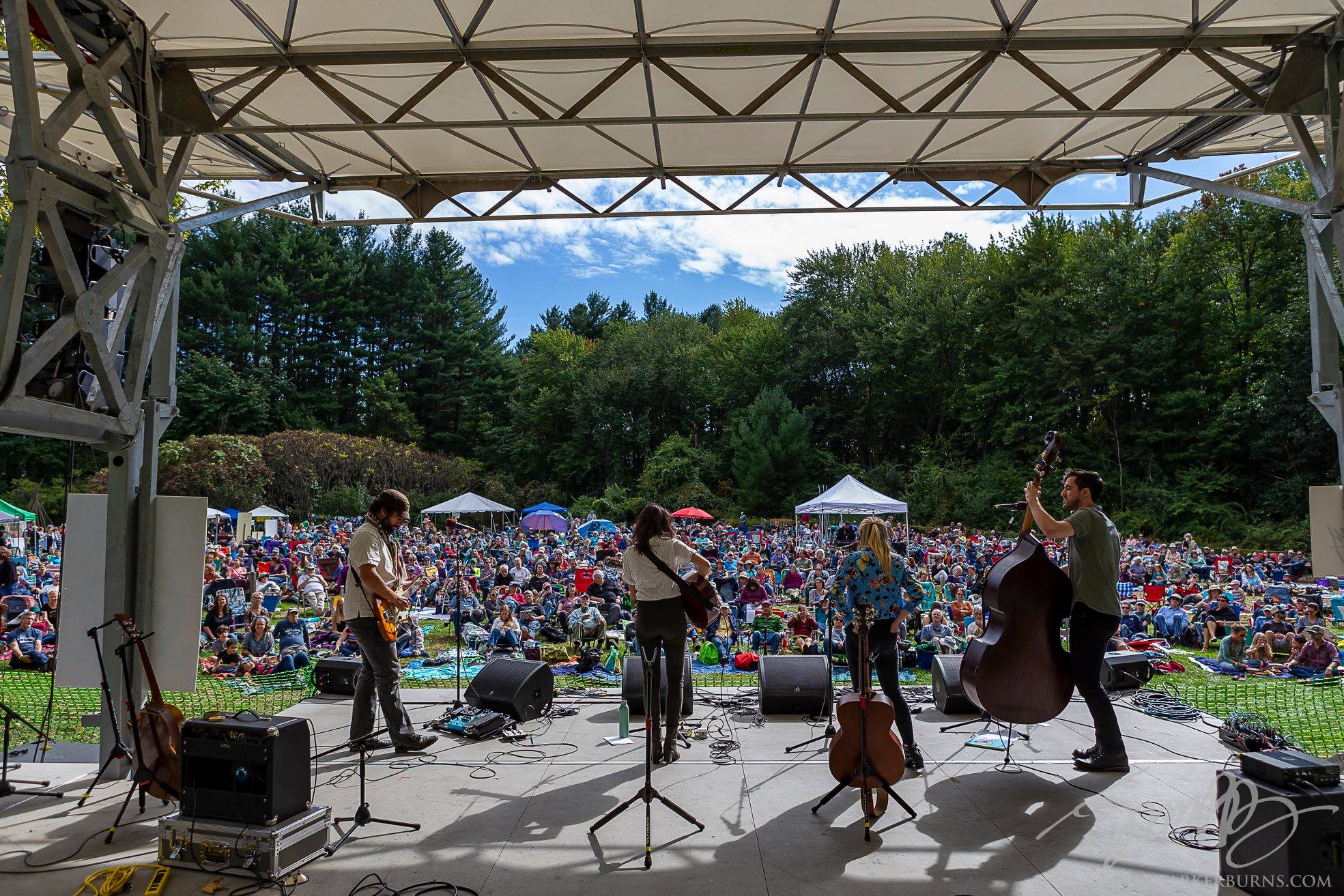Live Wire Arcadia Folk Festival set for fifth year