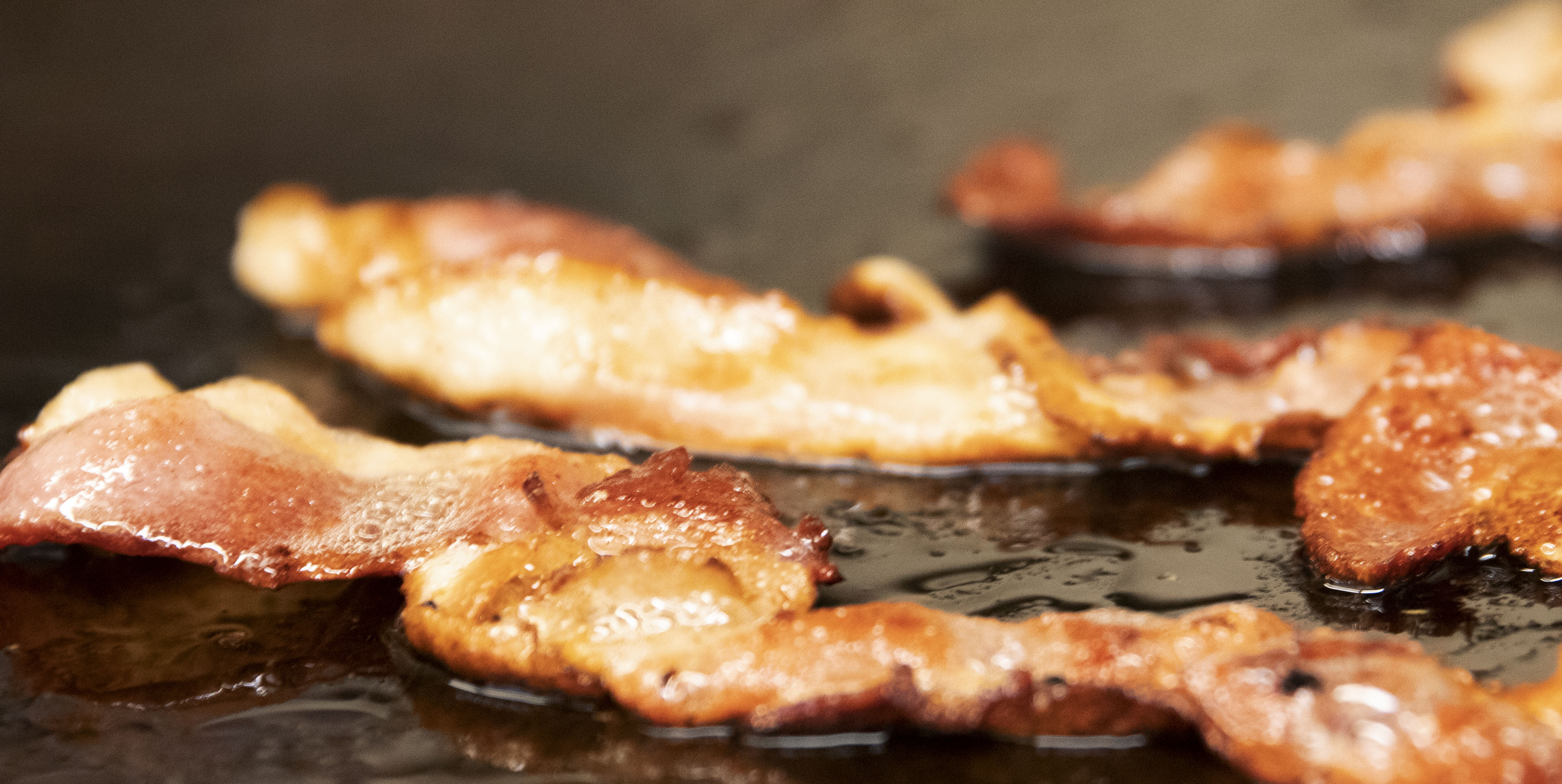 Michigan's Best Local Eats Nagle's Top Dog & Malt Shoppe