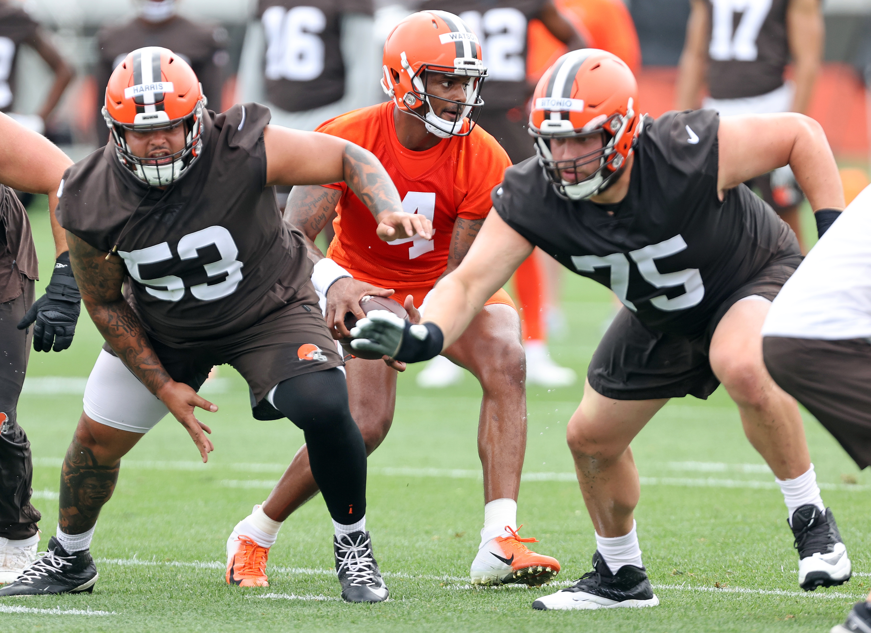 Deshaun Watson's trade to the Cleveland Browns rankles area massage  therapists 