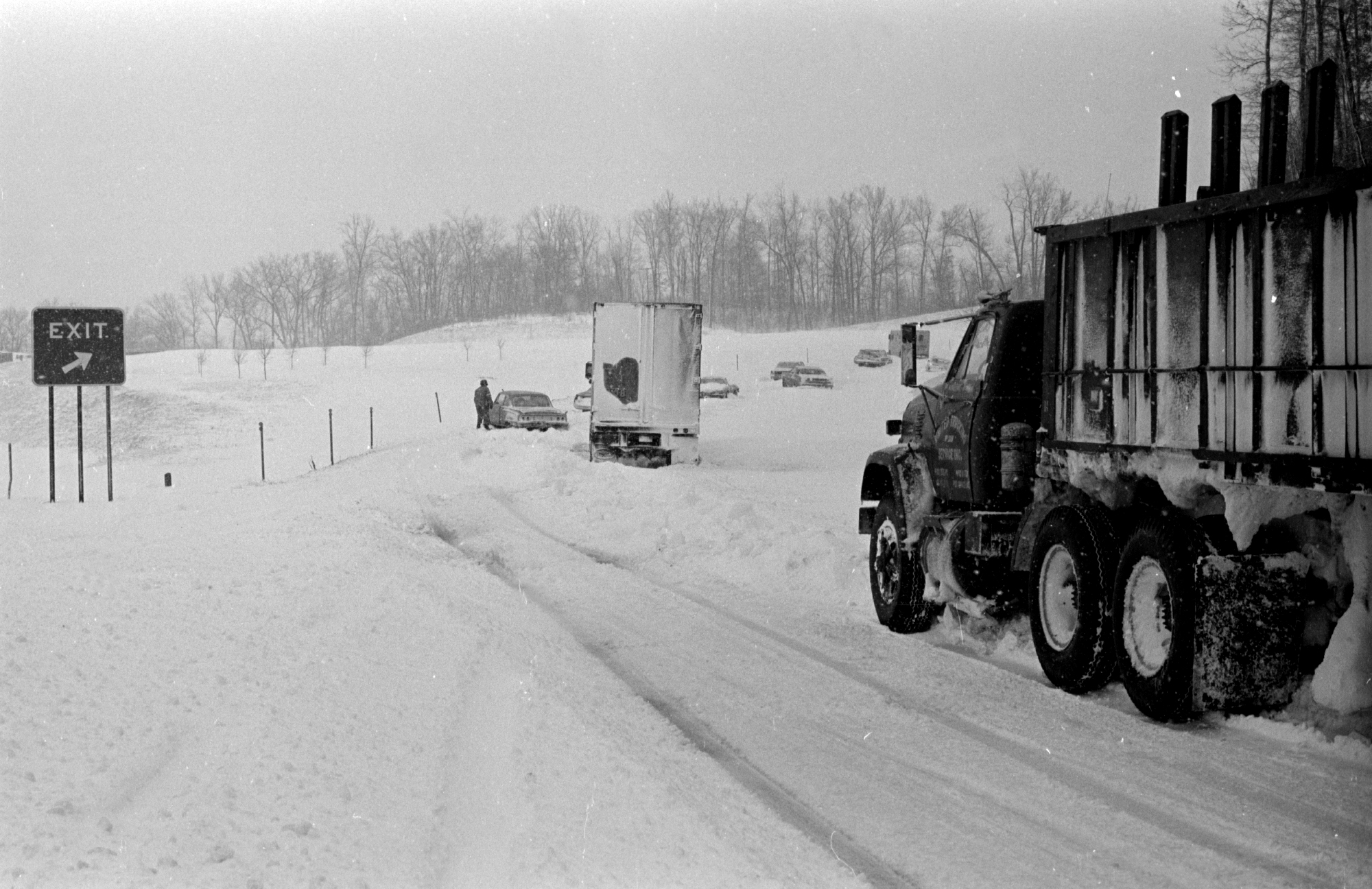 1973 St. Patrick's Day snowstorm - mlive.com