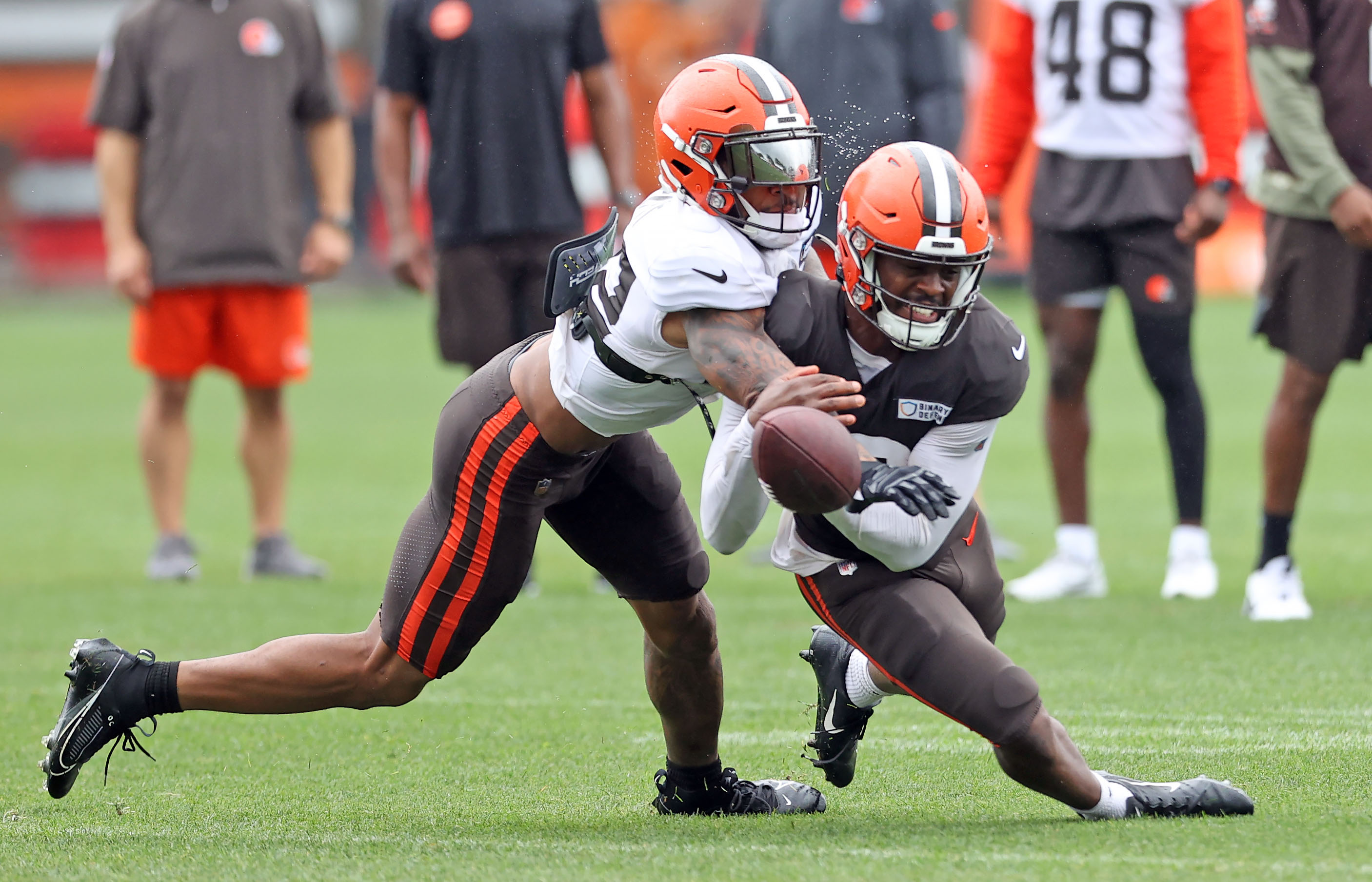 Which Browns offensive tackle is standing out in training camp? 