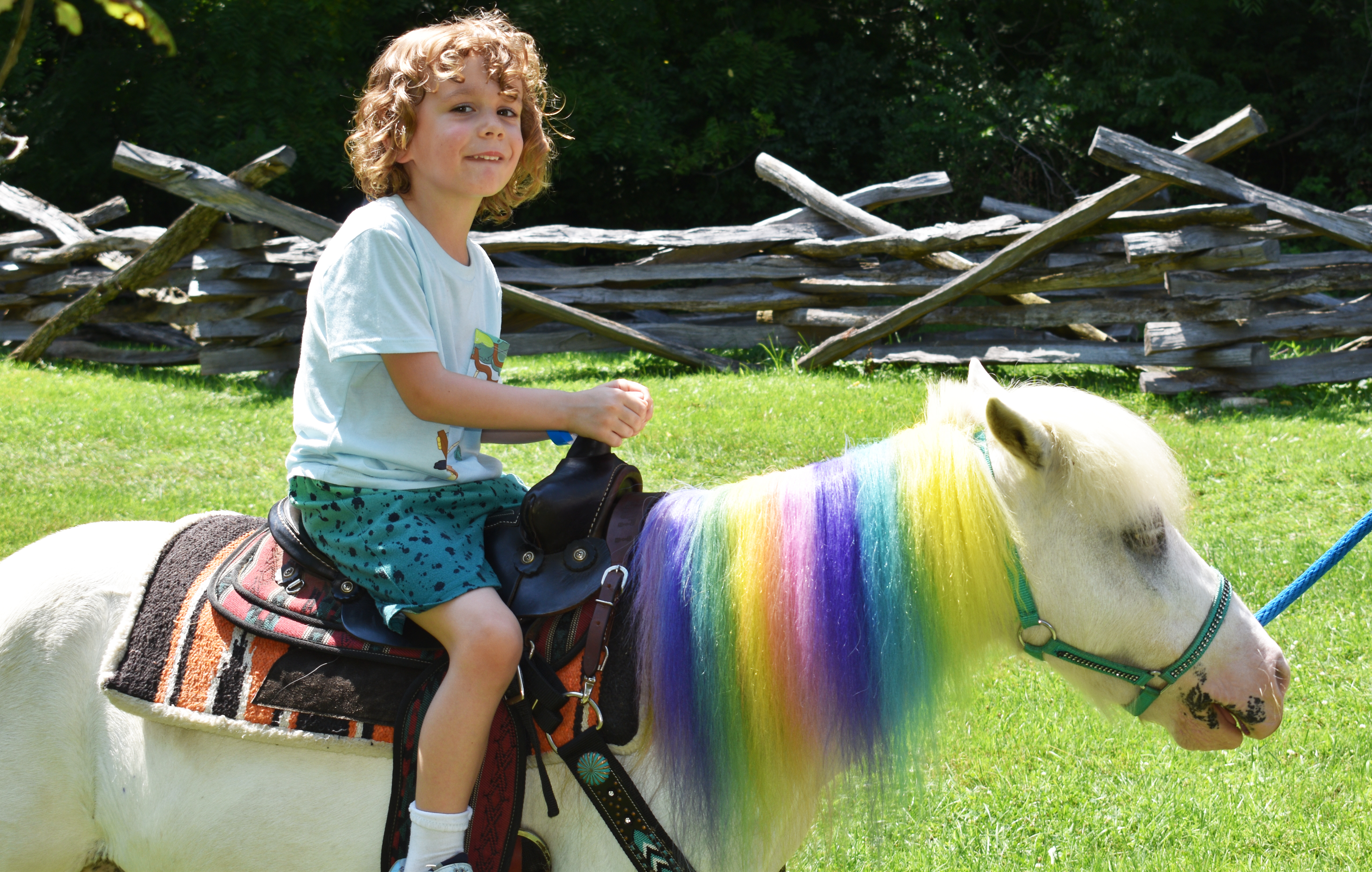 Orion Smith, 4, of Breinigsville, rides a rainbow-maned pony from Barnes Yard Petting Zoo LLC as Historic Bethlehem Museums & Sites opens its two-day Blueberry Festival & Market To Go on Saturday, July 13, 2024, at Burnside Plantation. It continues Sunday.