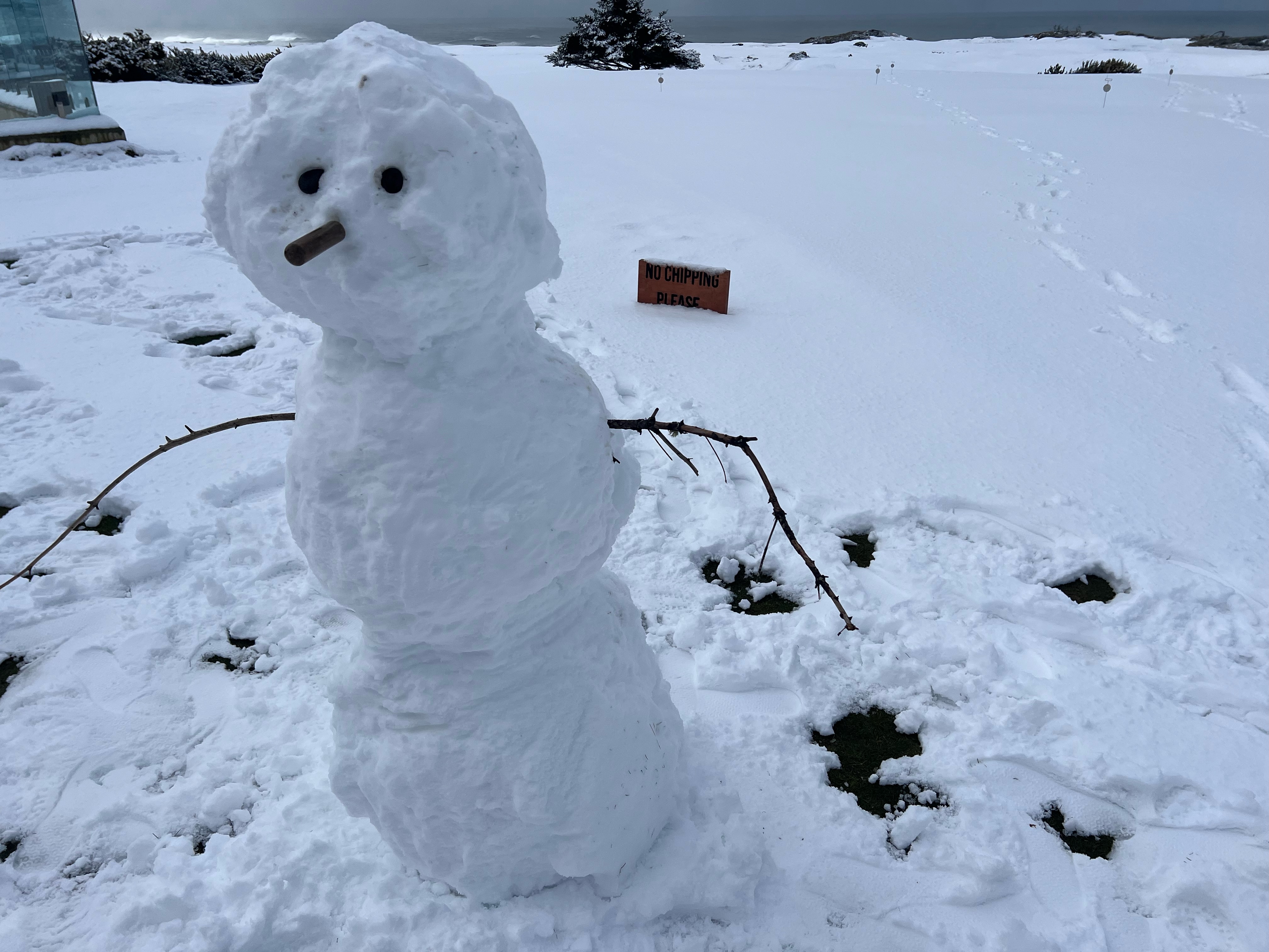 Rare snowfall hits Oregon coast - oregonlive.com