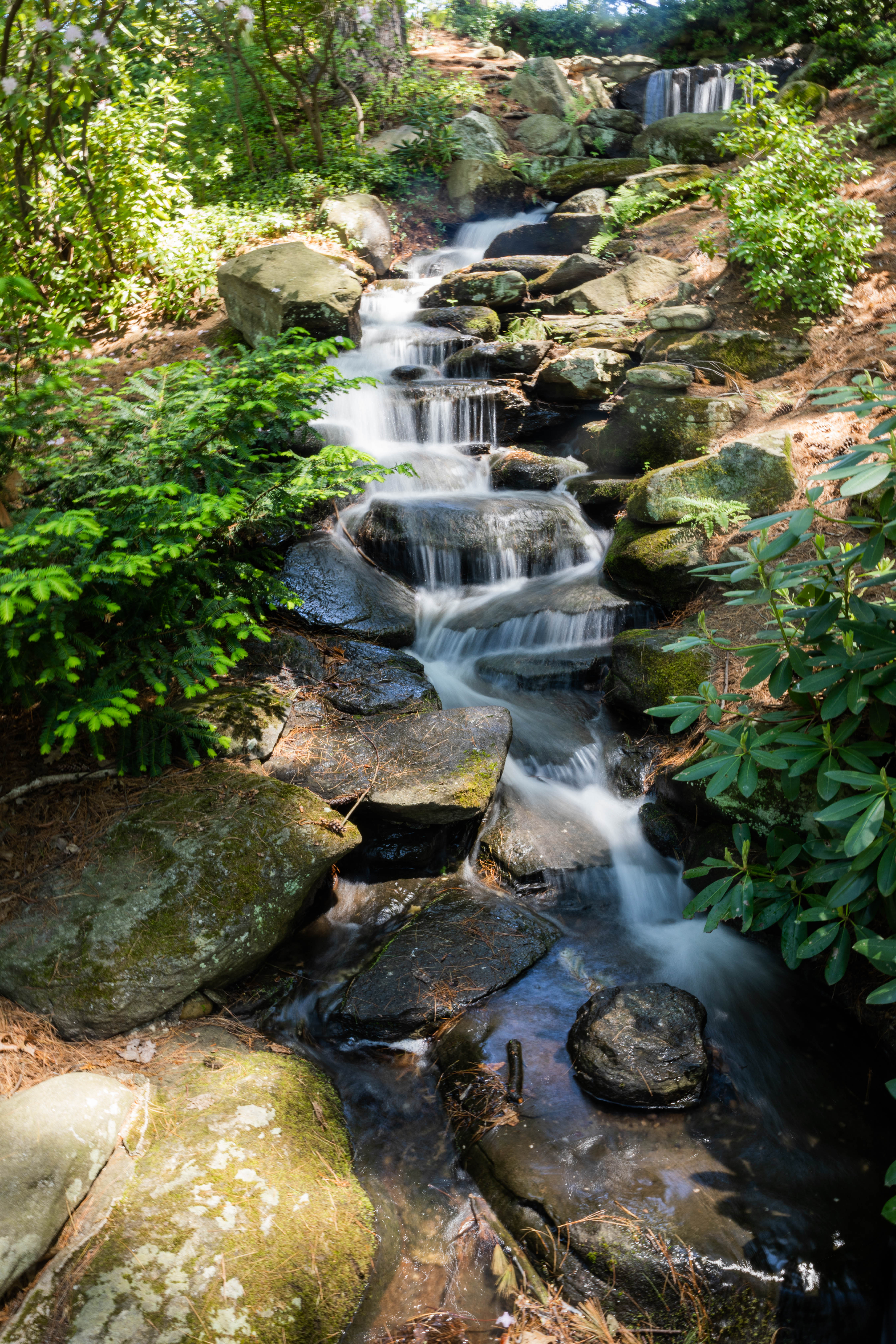 Stanley Park in Westfield reopened - masslive.com