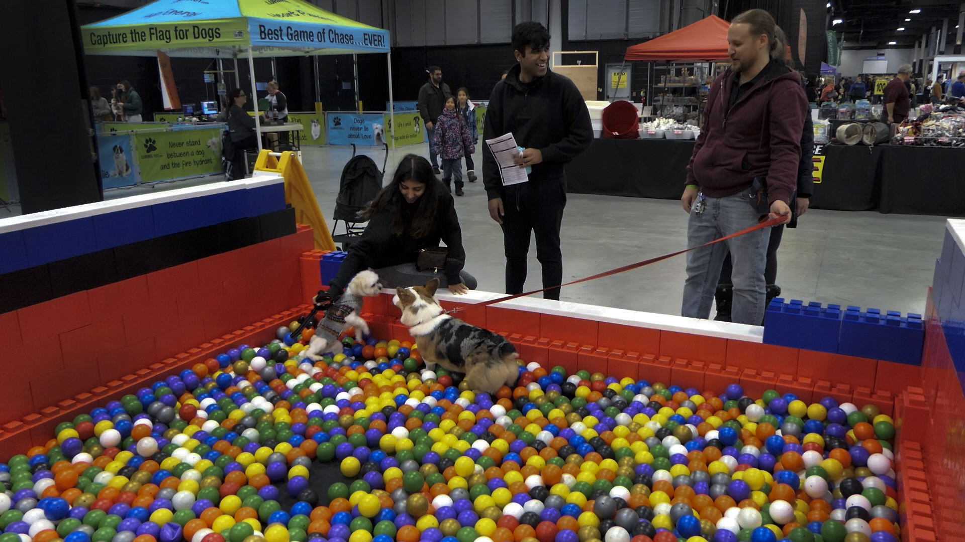 Super Pet Expo features social media sensation Dexter the Dog