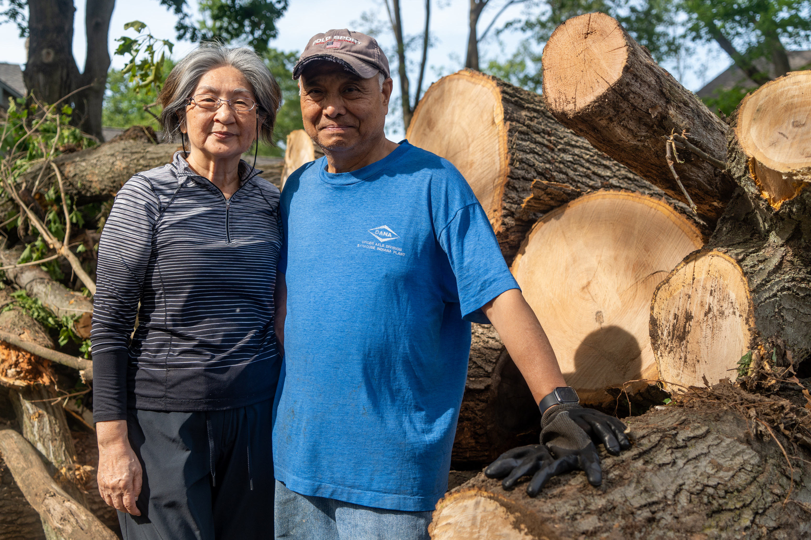 Tree removal continues in Colony Woods neighborhood - mlive.com