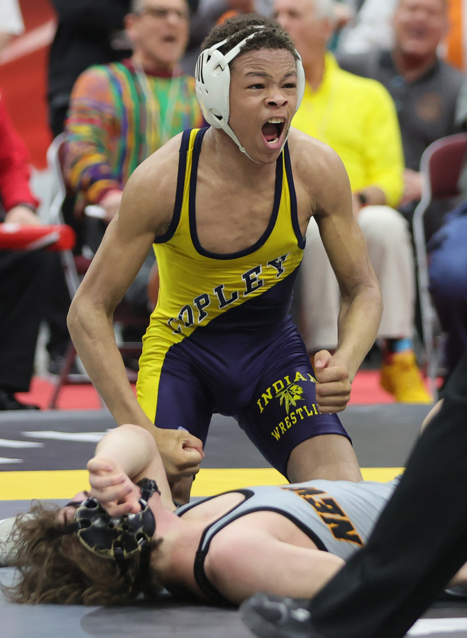 D2 Wrestling Championships, March 12, 2013