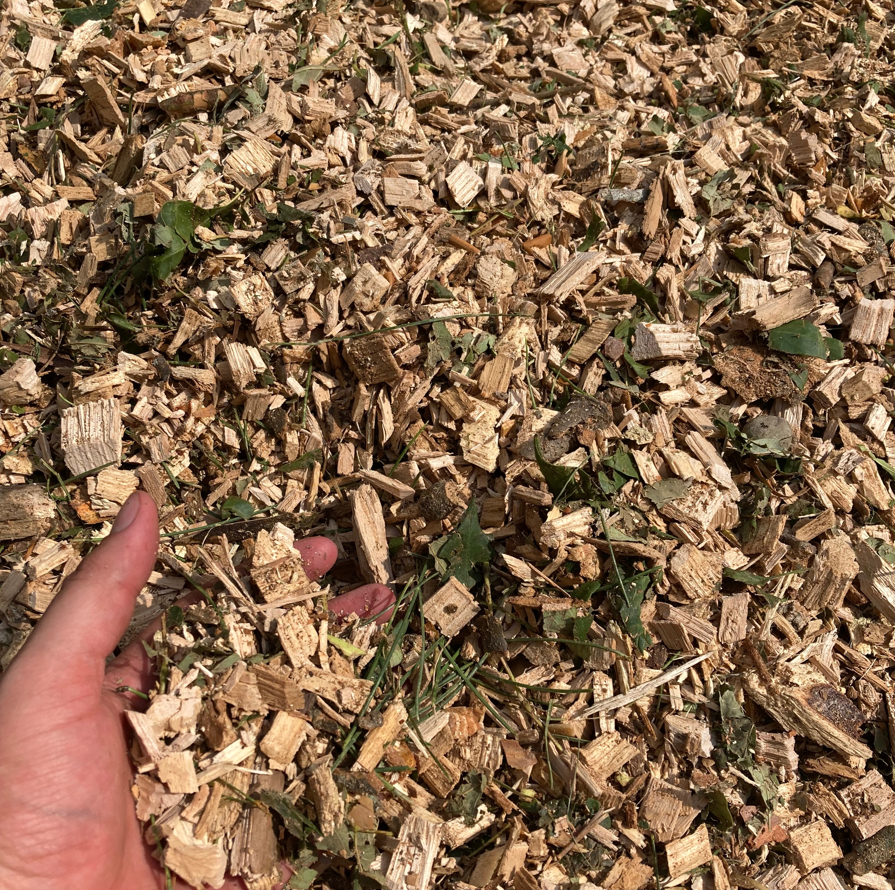 You can get boatloads of free mulch from ChipDrop; There's just one problem  - Saving You Money 