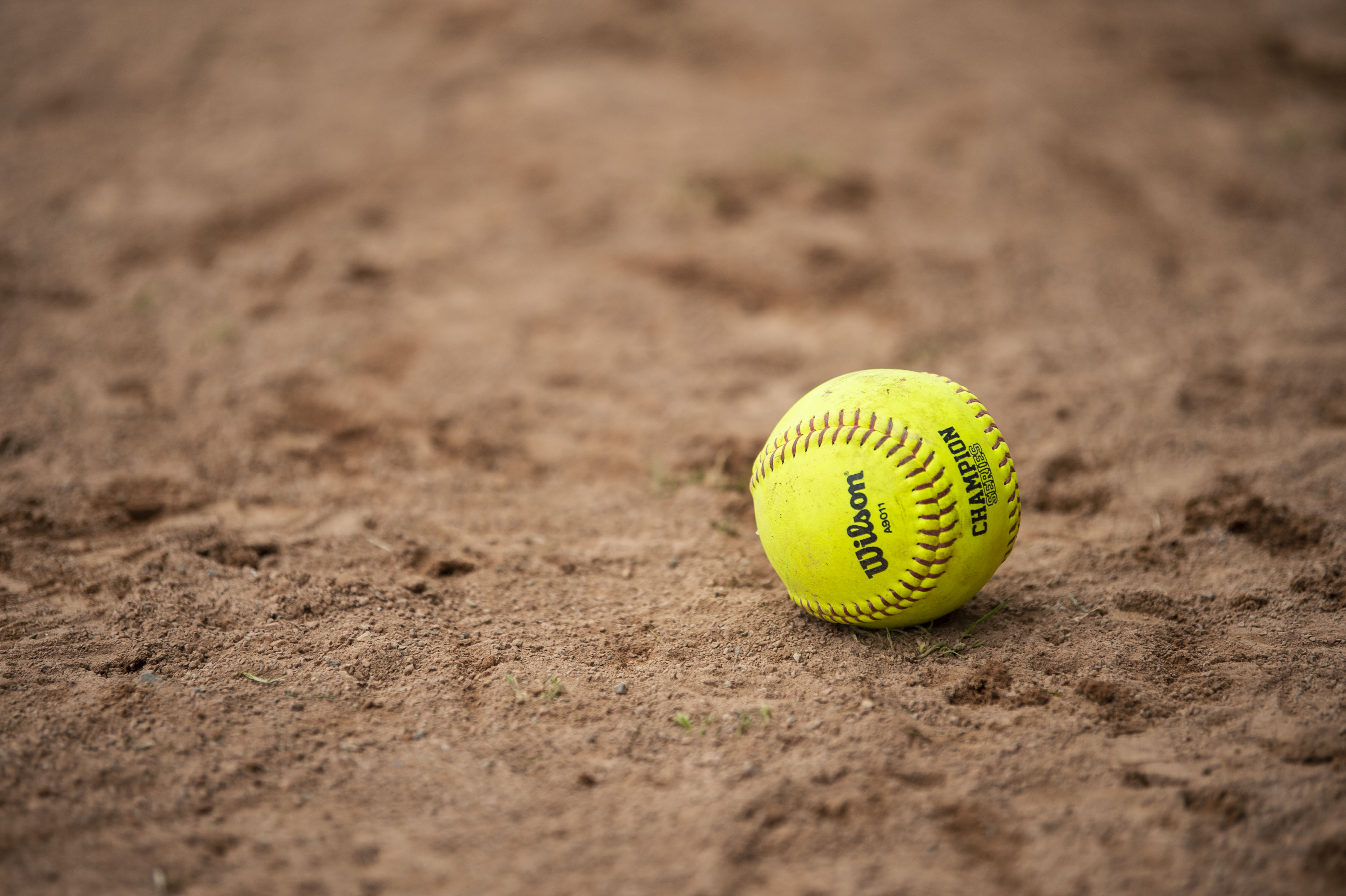 Ottawa Lake-Whiteford moves up, on to Division 3 softball state final