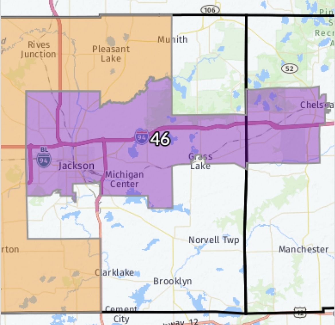 Democrats pull support for candidate running for Jackson, Washtenaw County  state House seat - mlive.com