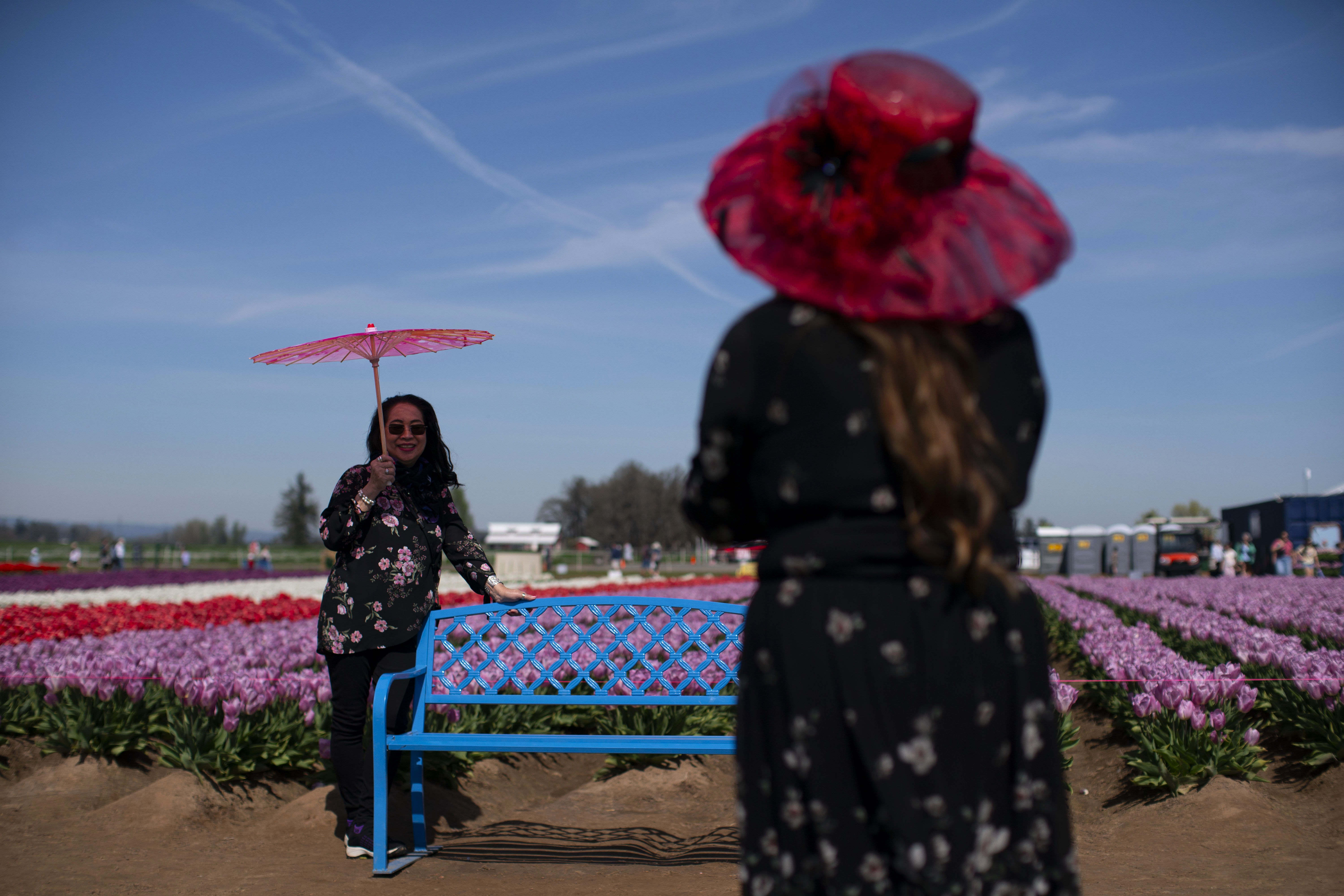 2026 Wooden Shoe Tulip Festival in Woodburn - oregonlive.com