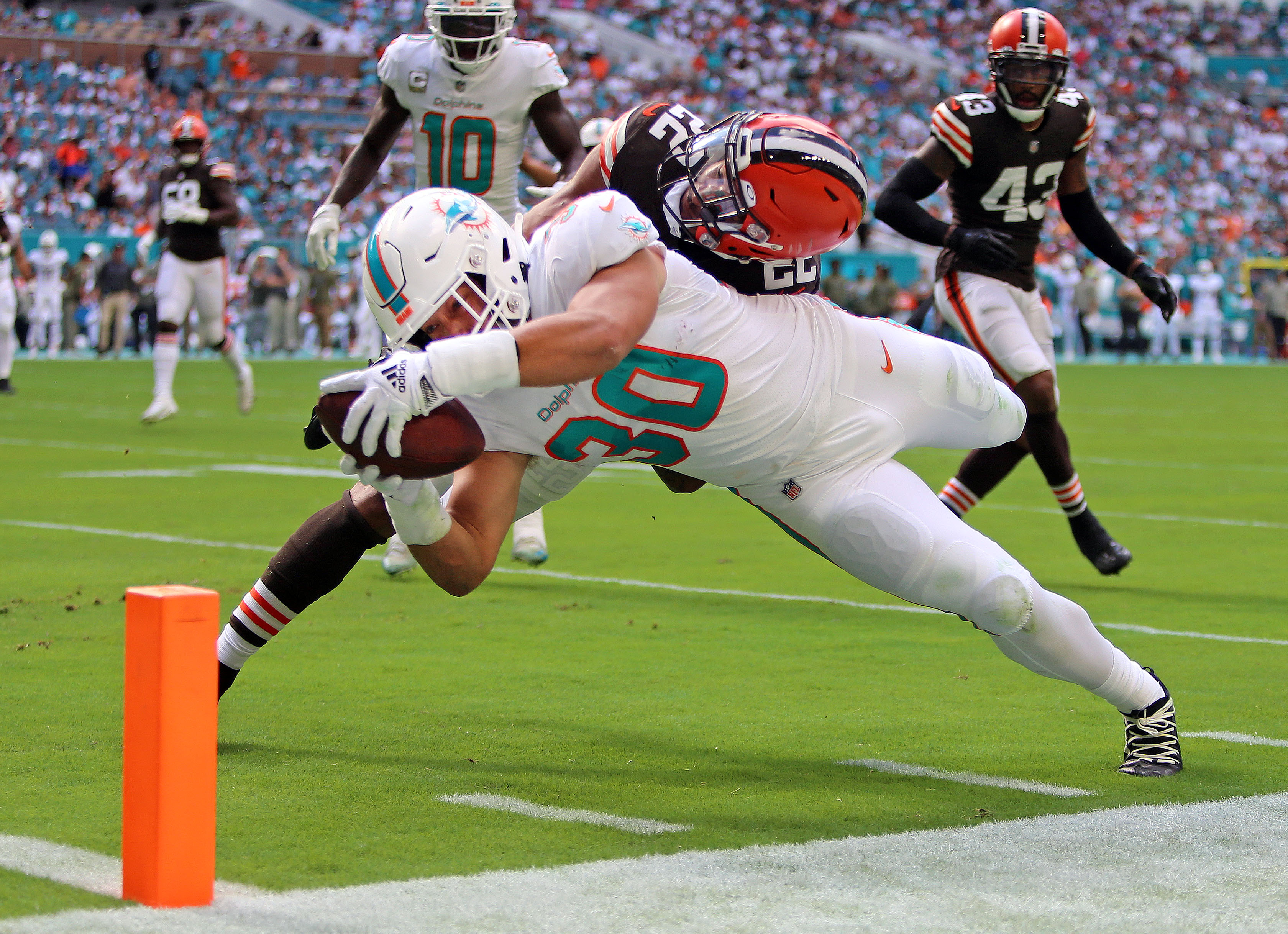 Miami Dolphins fullback Alec Ingold (30) runs for a touchdown during the  first half of an NFL football game against the Cleveland Browns, Sunday,  Nov. 13, 2022, in Miami Gardens, Fla. (AP