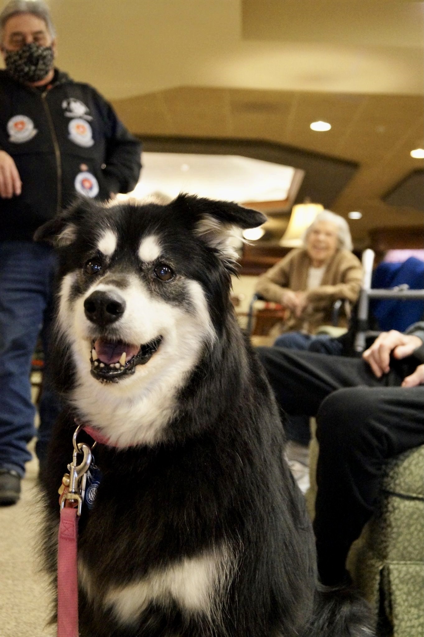 Service sales dog sally