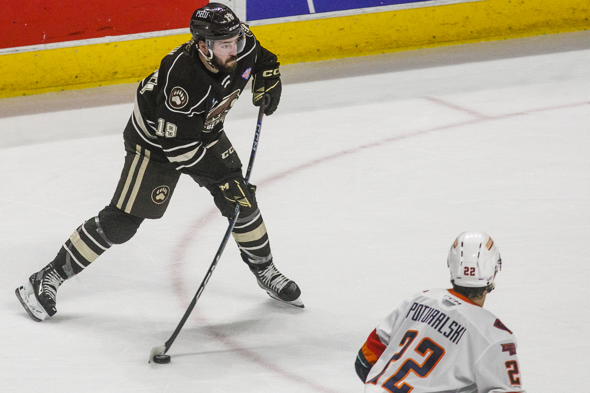 Calder Cup Finals: Firebirds fall to Hershey Bears, series tied 2-2