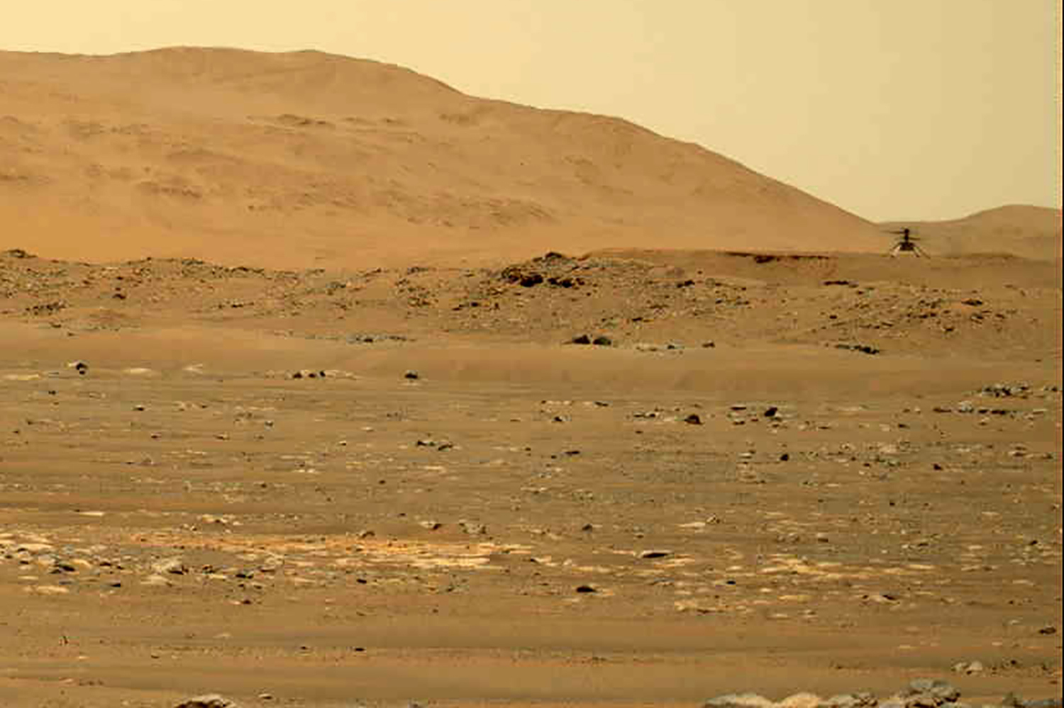 Why Premature Claims of Life on Mars Hurt Science - Scientific