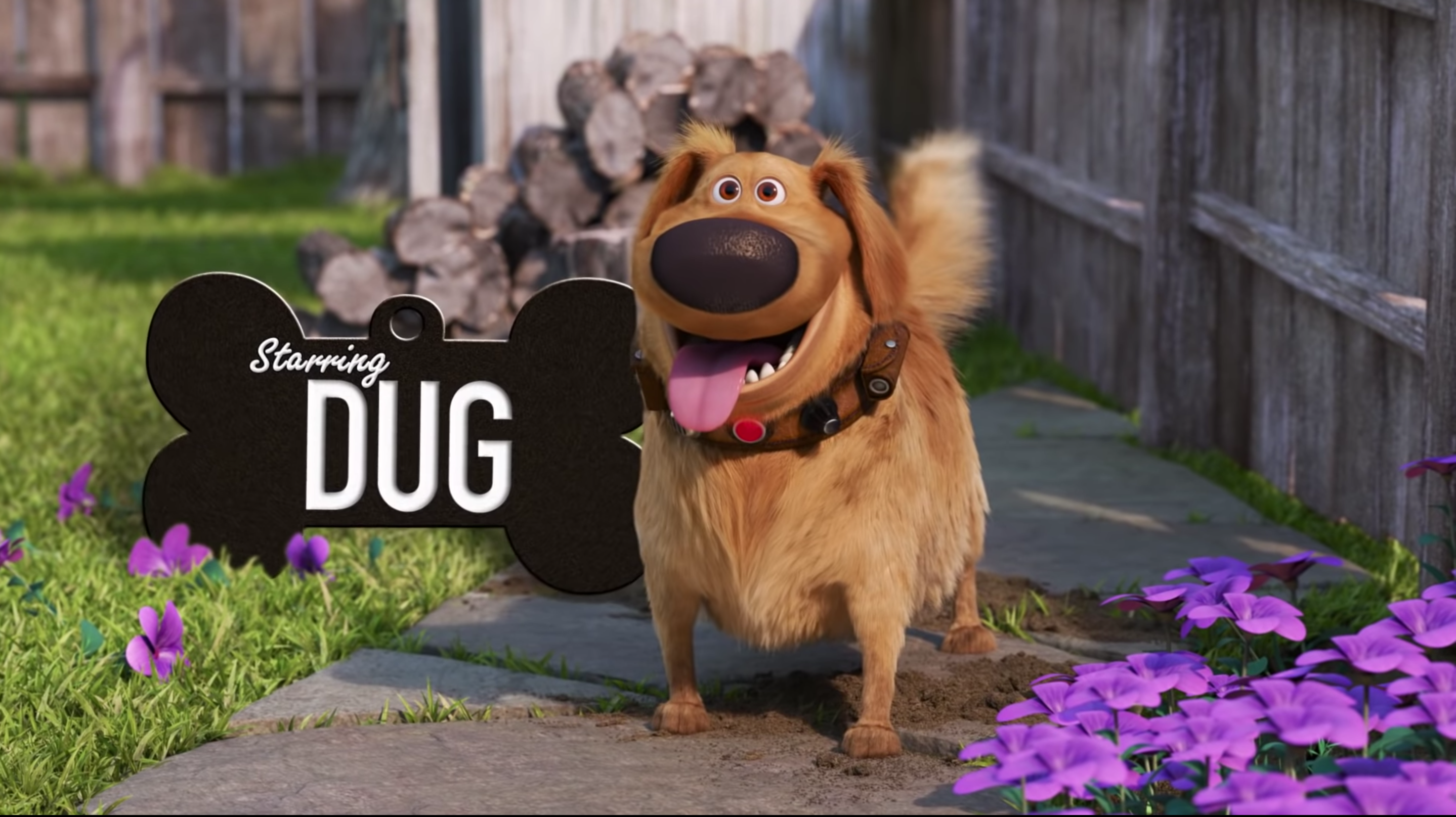 Række ud Athletic motto Disney and Pixar bring 'Up' characters back in animated short series 'Dug  Days': How to watch - silive.com