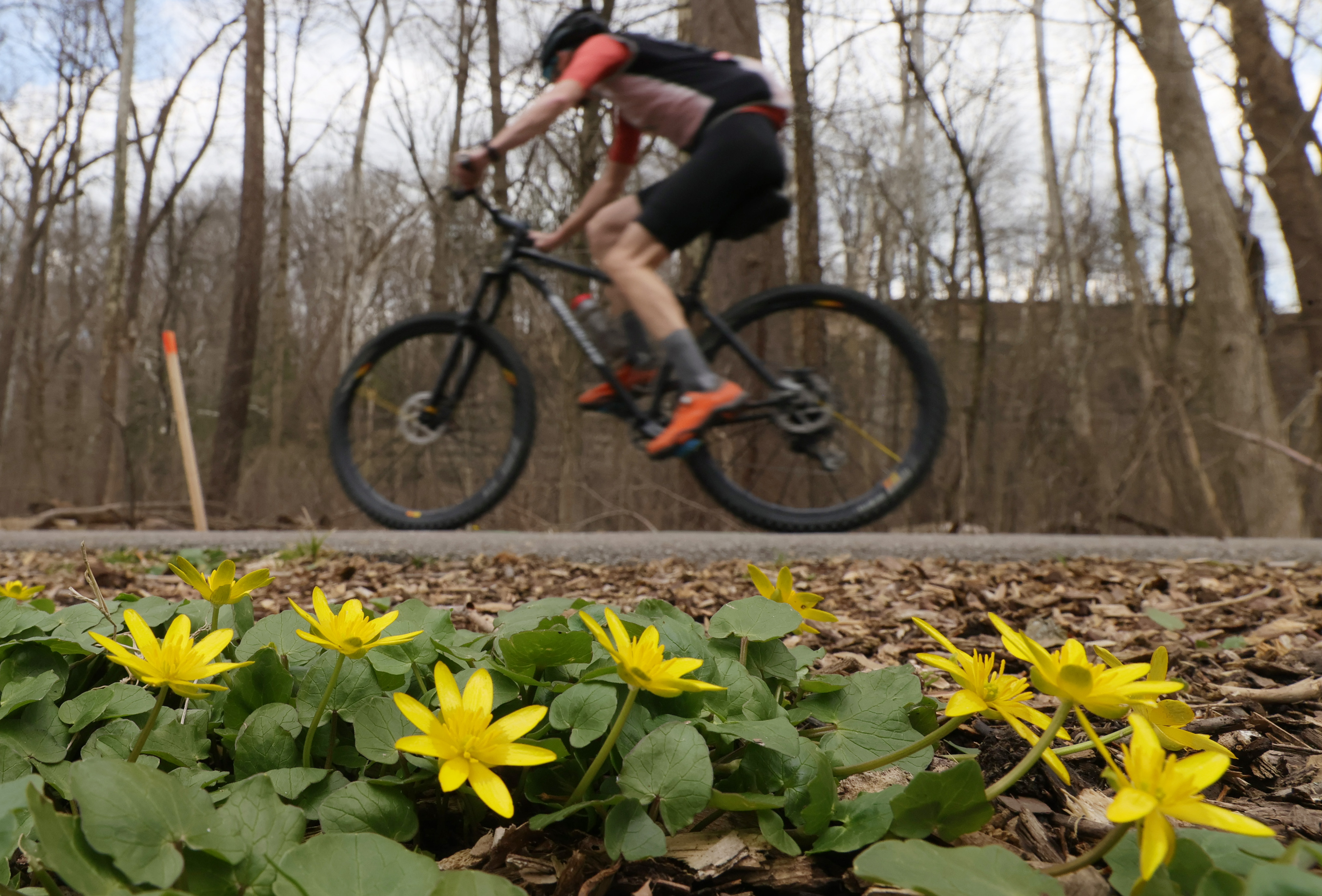 The beauty of Spring 2023 in Northeast Ohio - cleveland.com