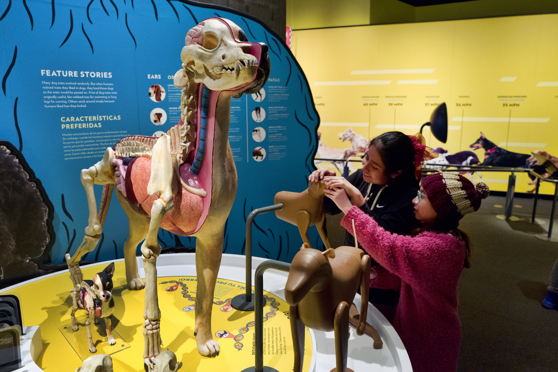 Science Tails “Dogs! A Science Tail” - cleveland.com