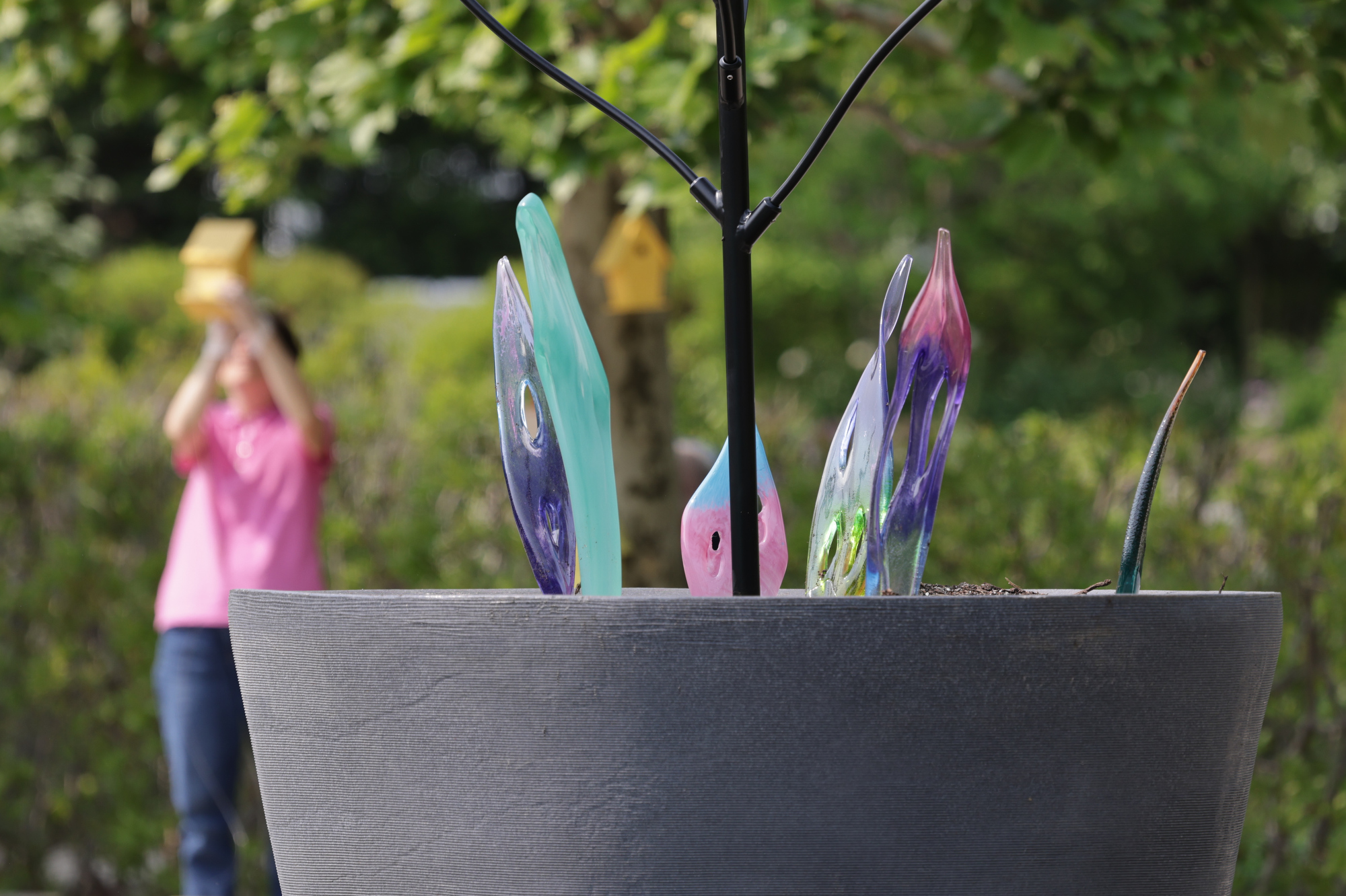 "BLOOM! Botanicals & Birdhouses" at the Cleveland Botanical Garden