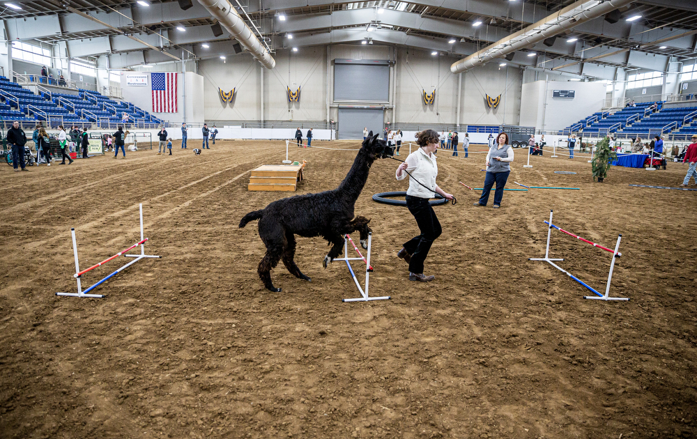 Pa. Farm Show 2023 Day 4